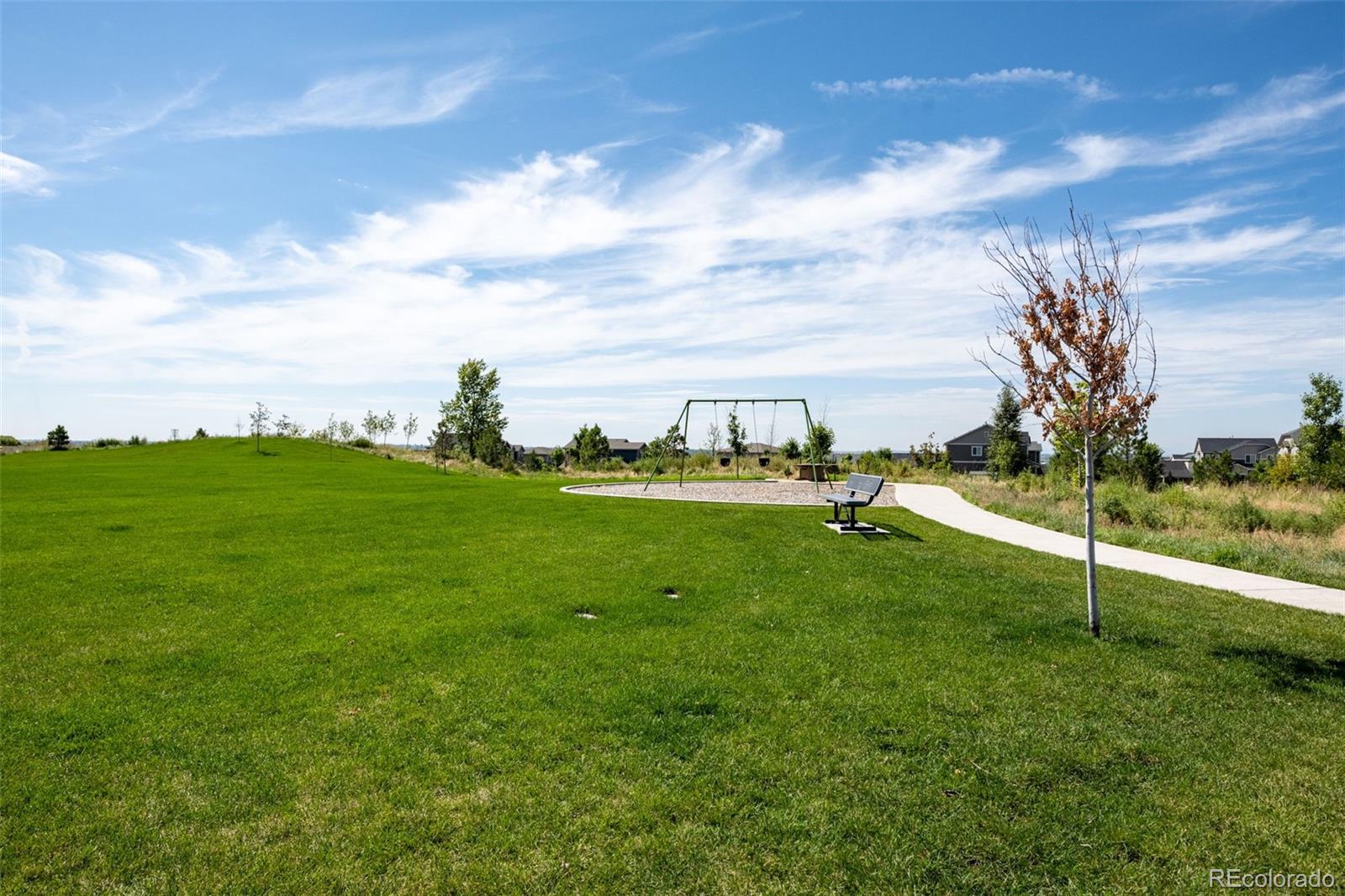 MLS Image #41 for 5218  inland avenue,firestone, Colorado