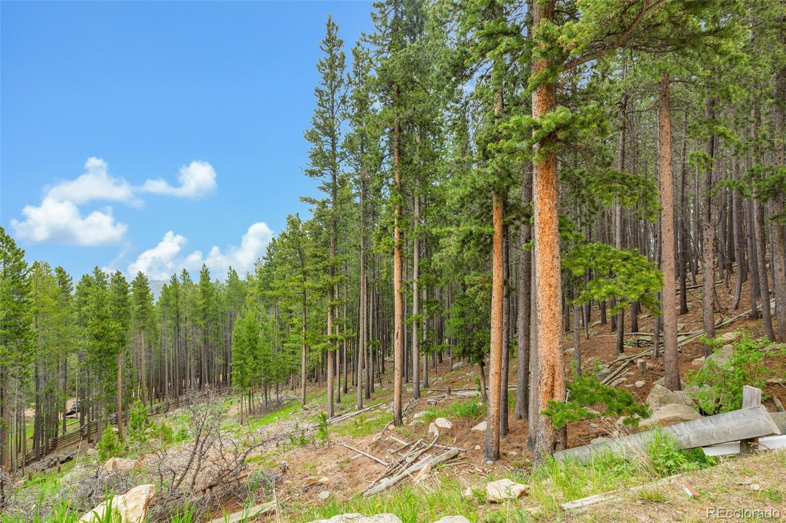MLS Image #41 for 509  paiute road,evergreen, Colorado