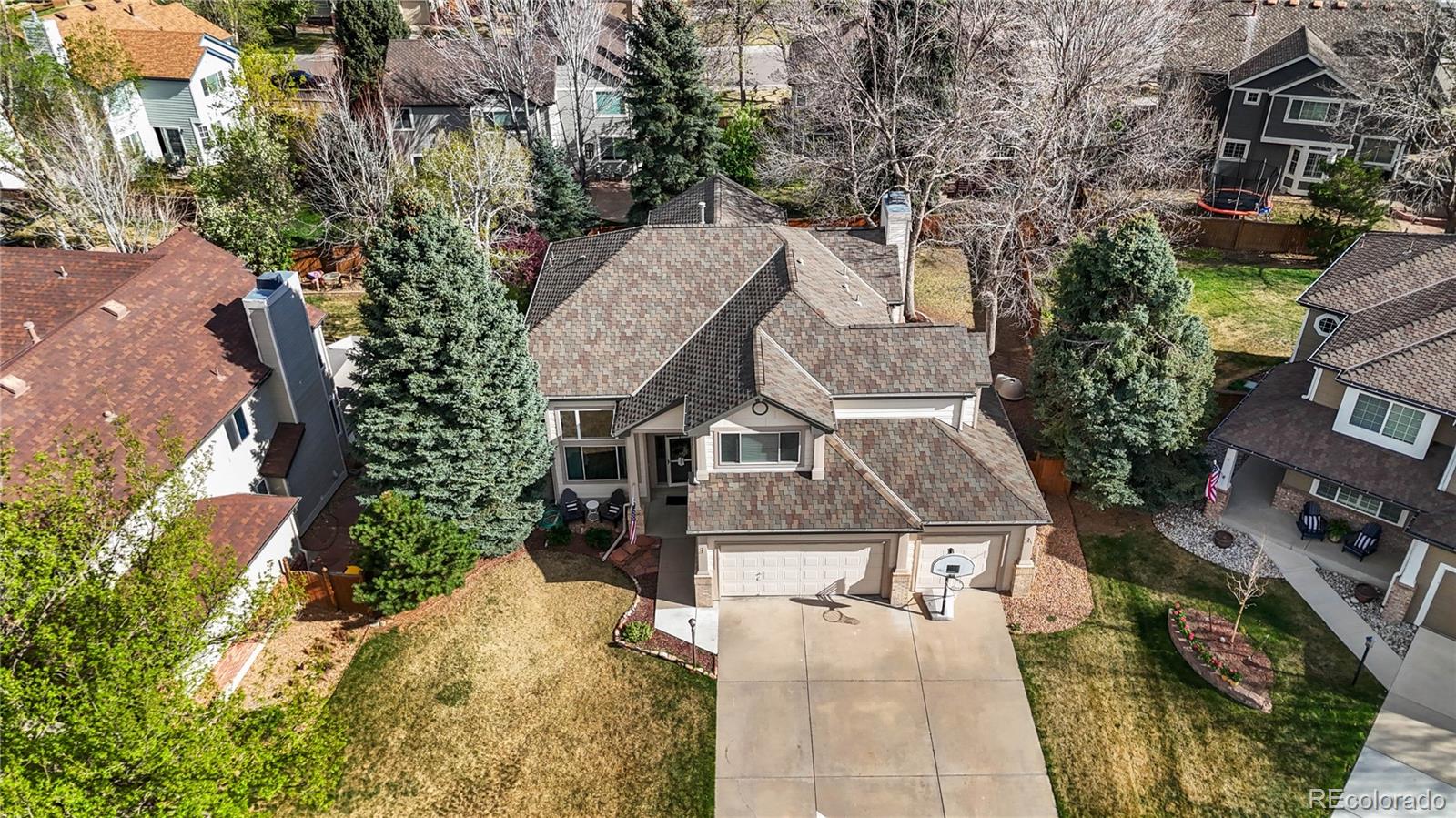 MLS Image #49 for 16642  autumn rock cove,parker, Colorado