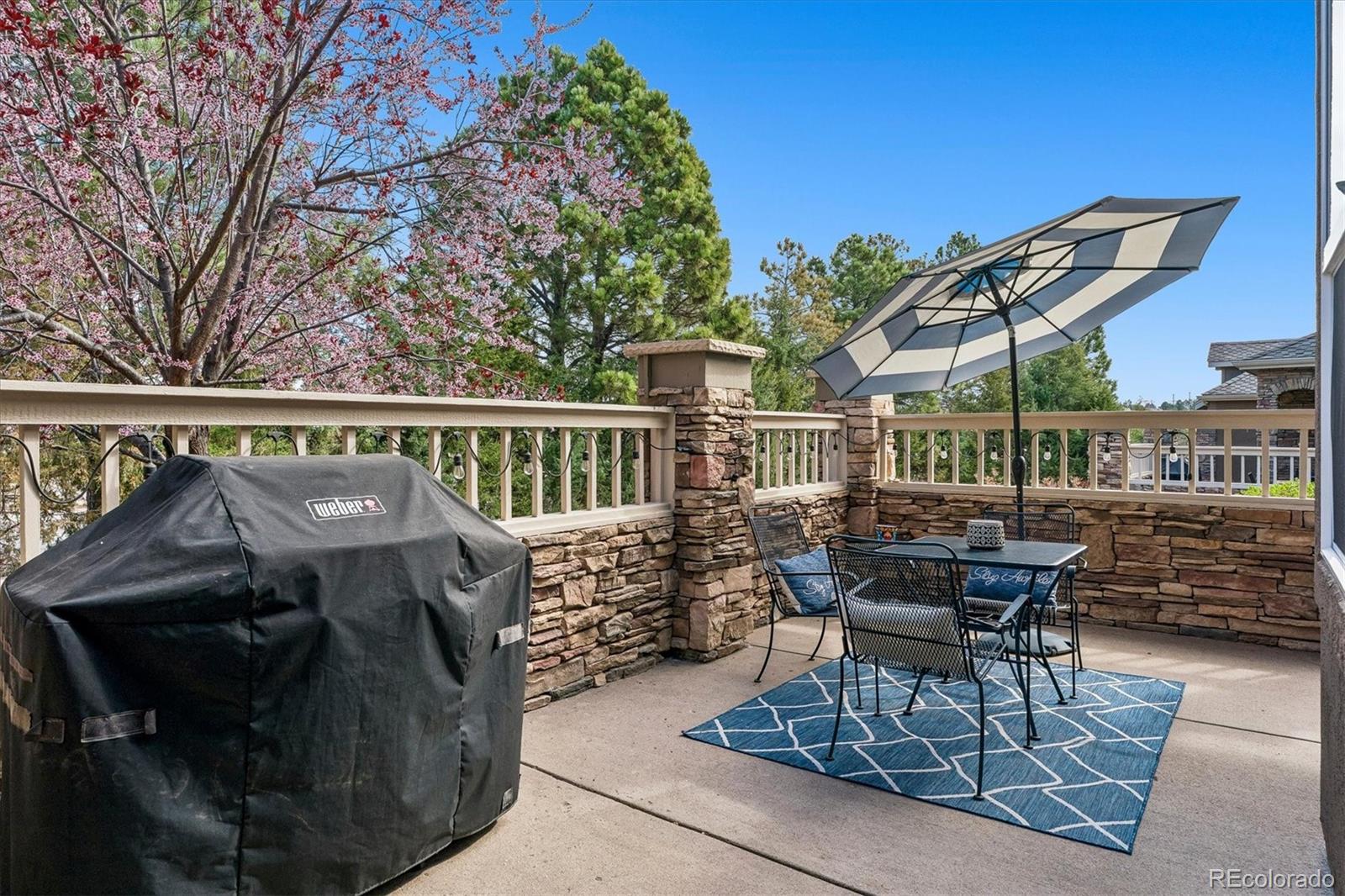 MLS Image #27 for 631  sherman street,castle pines, Colorado