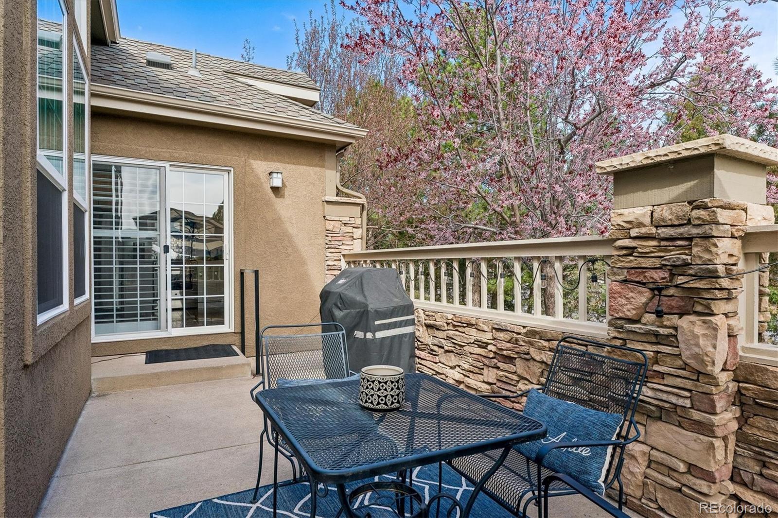 MLS Image #28 for 631  sherman street,castle pines, Colorado