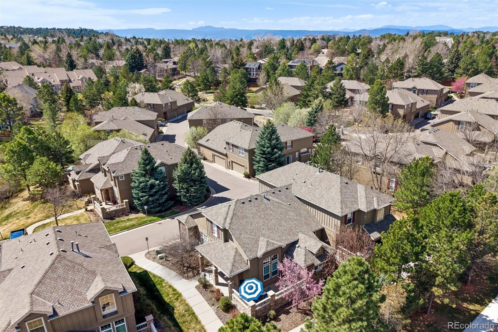 MLS Image #33 for 631  sherman street,castle pines, Colorado