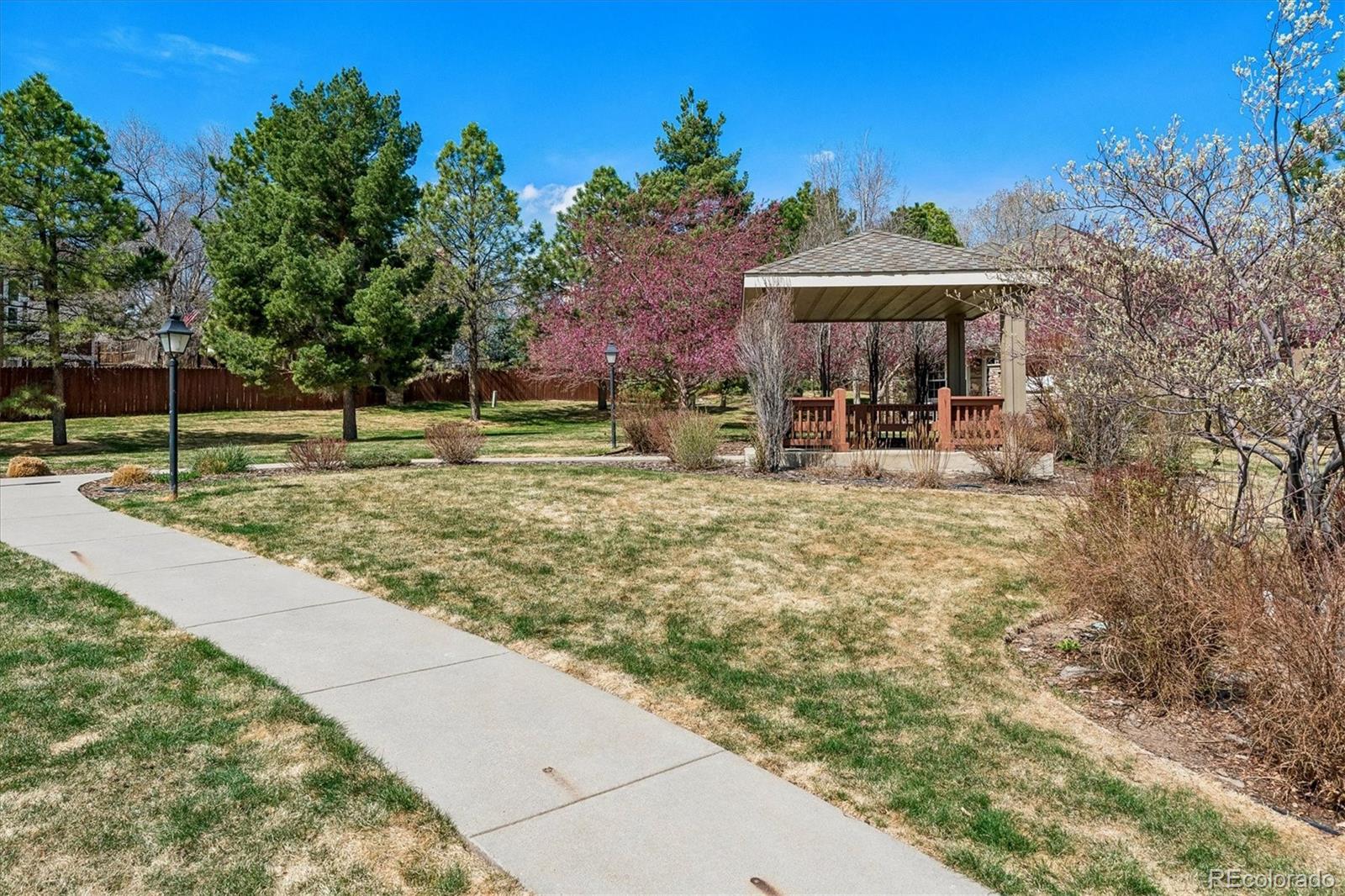 MLS Image #36 for 631  sherman street,castle pines, Colorado