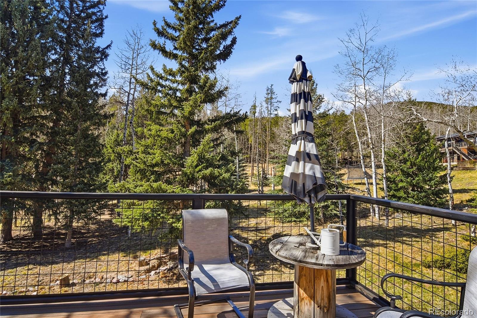 MLS Image #27 for 34978  forest estates road,evergreen, Colorado
