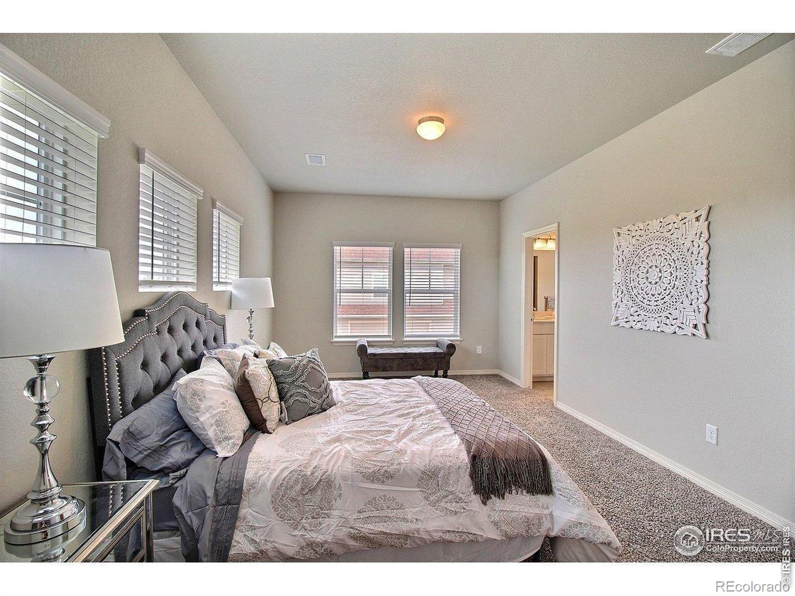 MLS Image #17 for 1694  grand avenue,windsor, Colorado