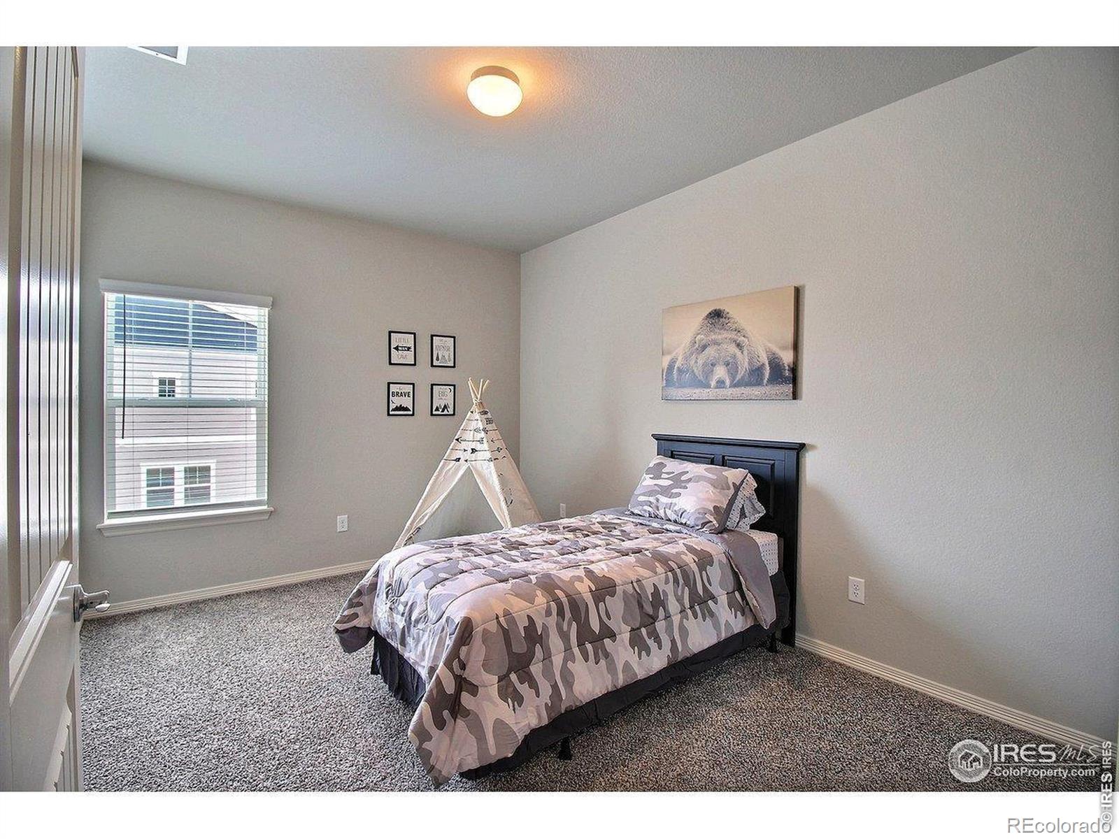 MLS Image #18 for 1694  grand avenue,windsor, Colorado