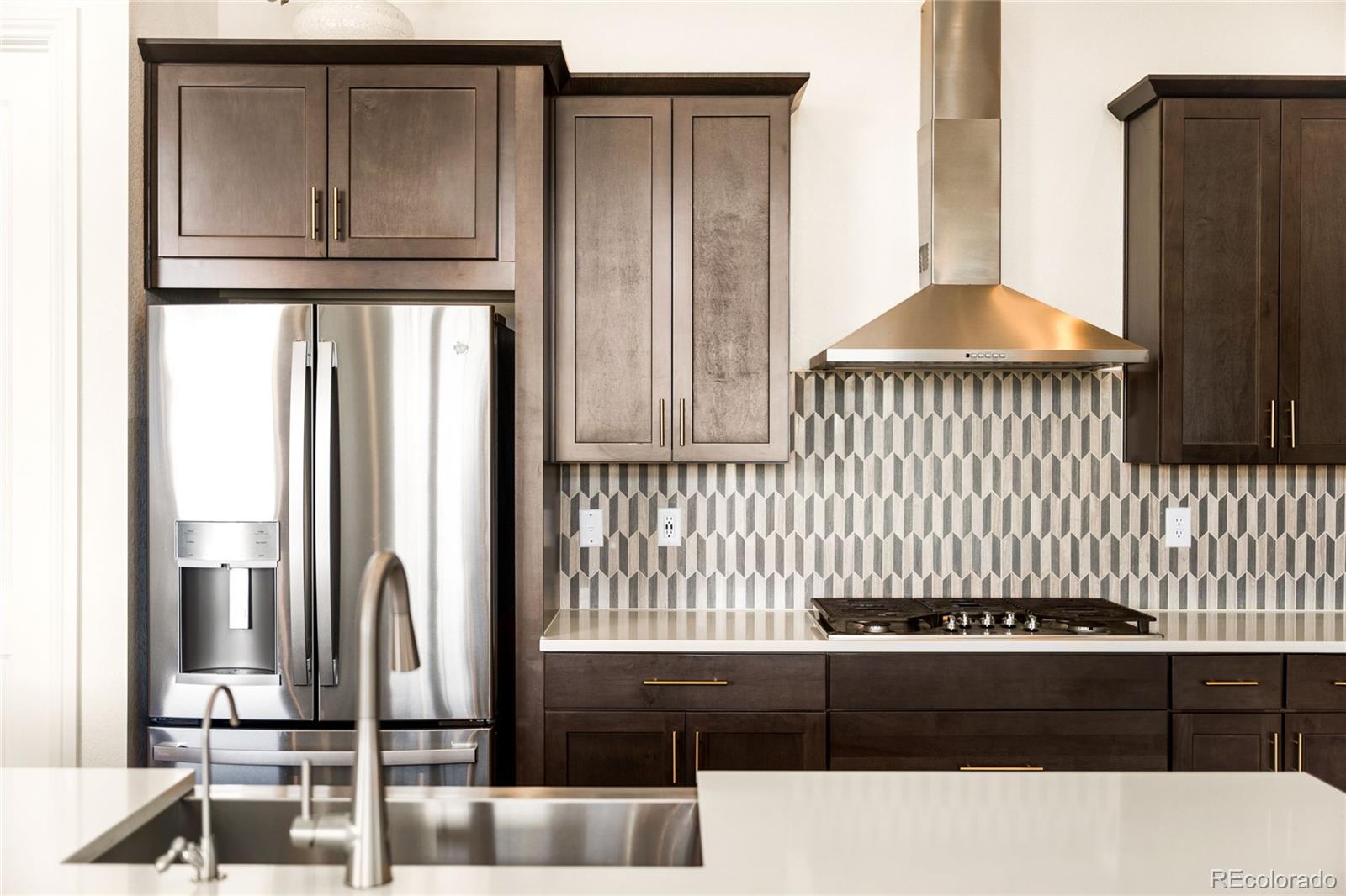 MLS Image #10 for 3153  carabiner street,castle rock, Colorado