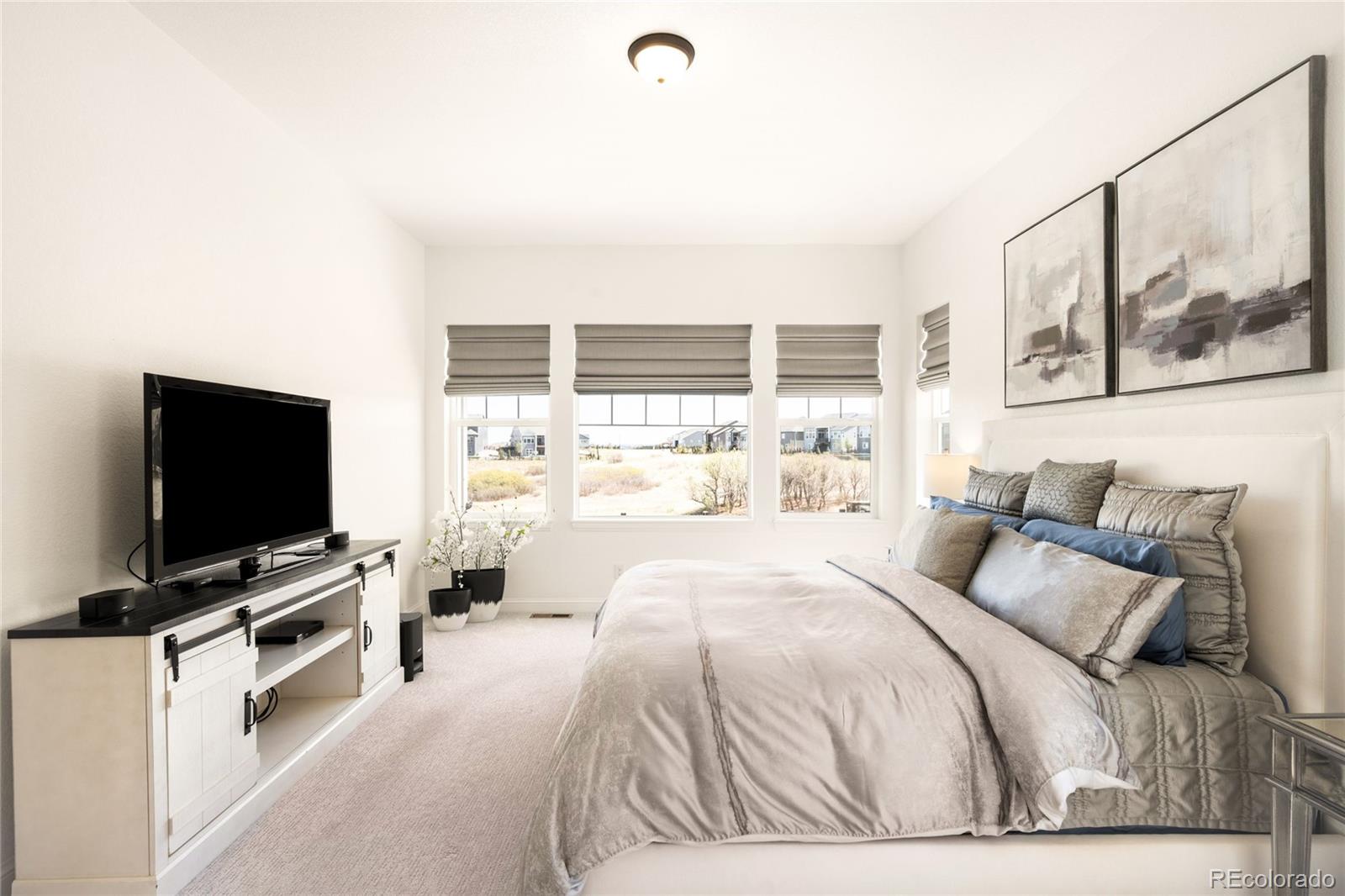MLS Image #15 for 3153  carabiner street,castle rock, Colorado