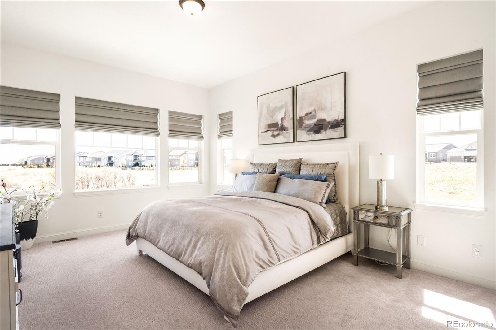 MLS Image #16 for 3153  carabiner street,castle rock, Colorado