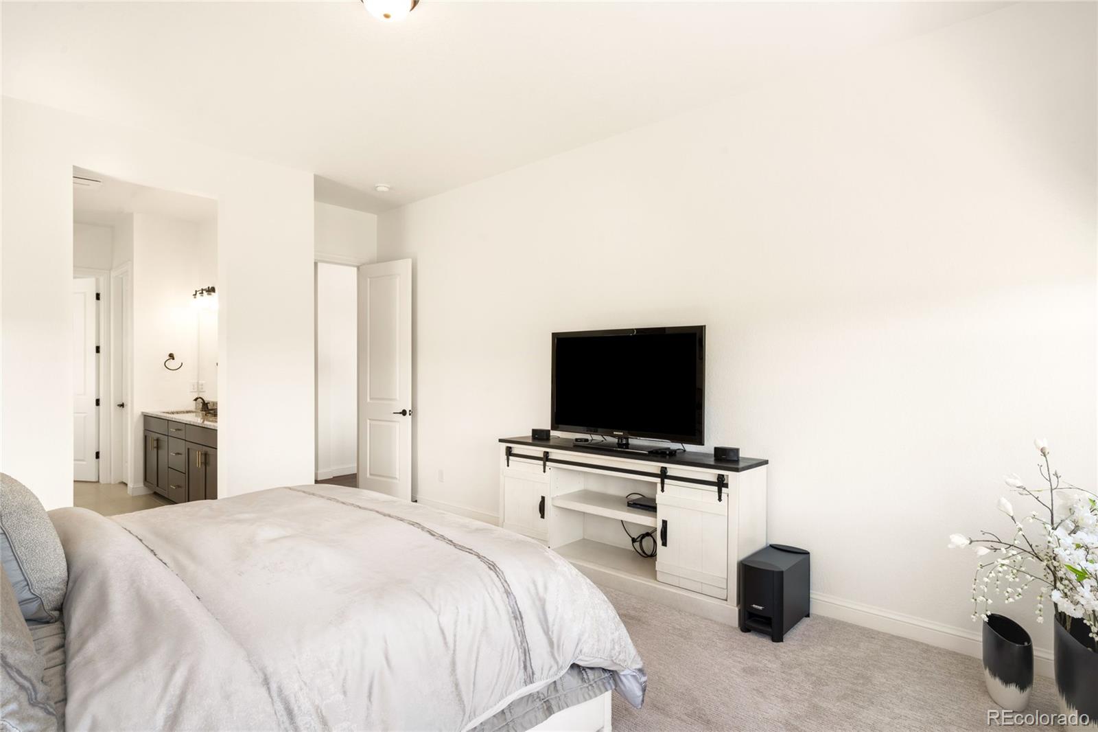 MLS Image #17 for 3153  carabiner street,castle rock, Colorado