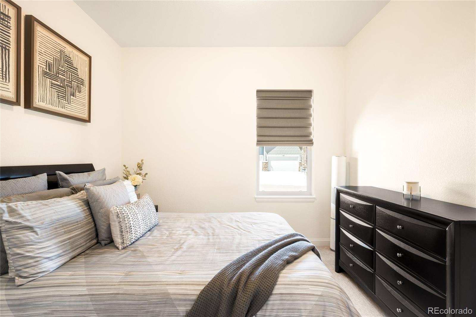 MLS Image #24 for 3153  carabiner street,castle rock, Colorado