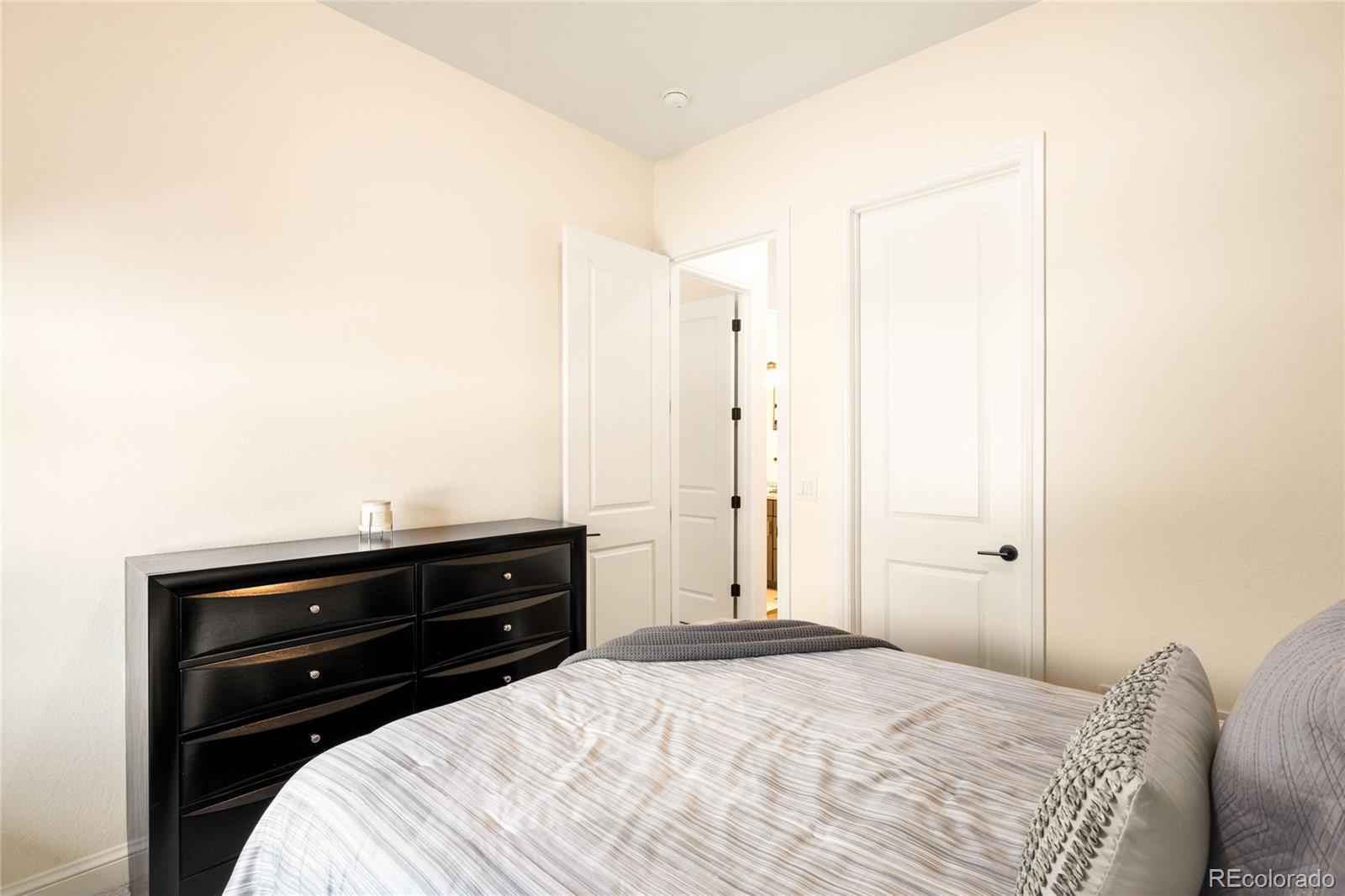 MLS Image #25 for 3153  carabiner street,castle rock, Colorado