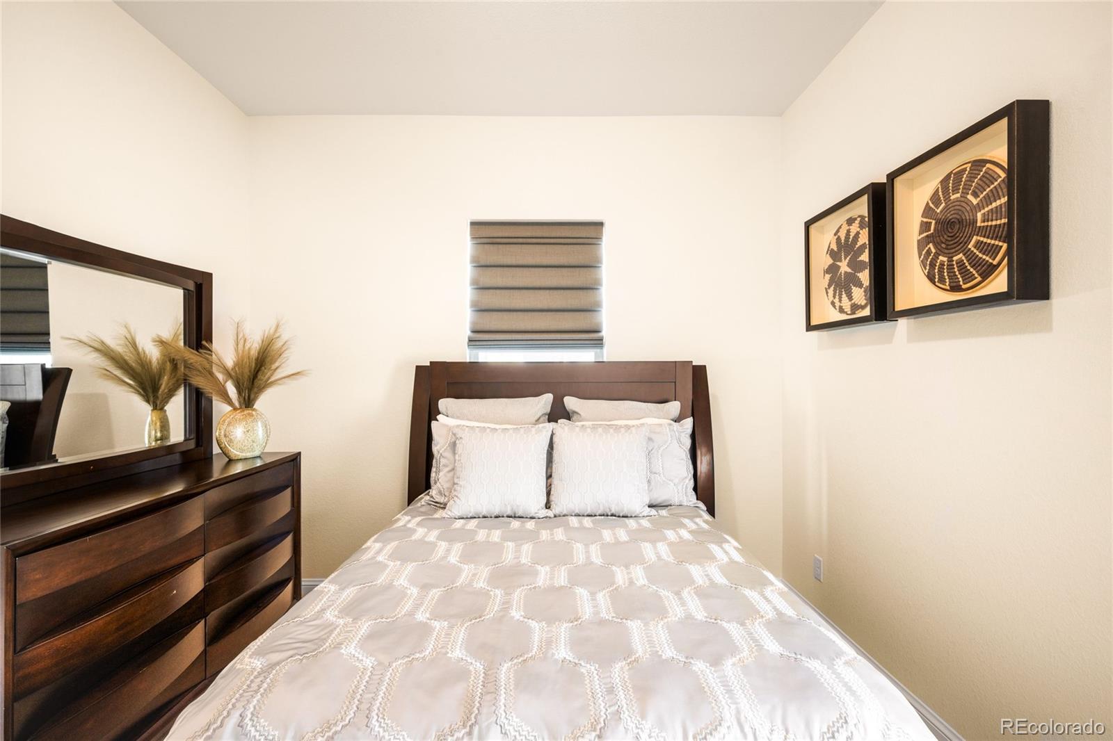 MLS Image #26 for 3153  carabiner street,castle rock, Colorado