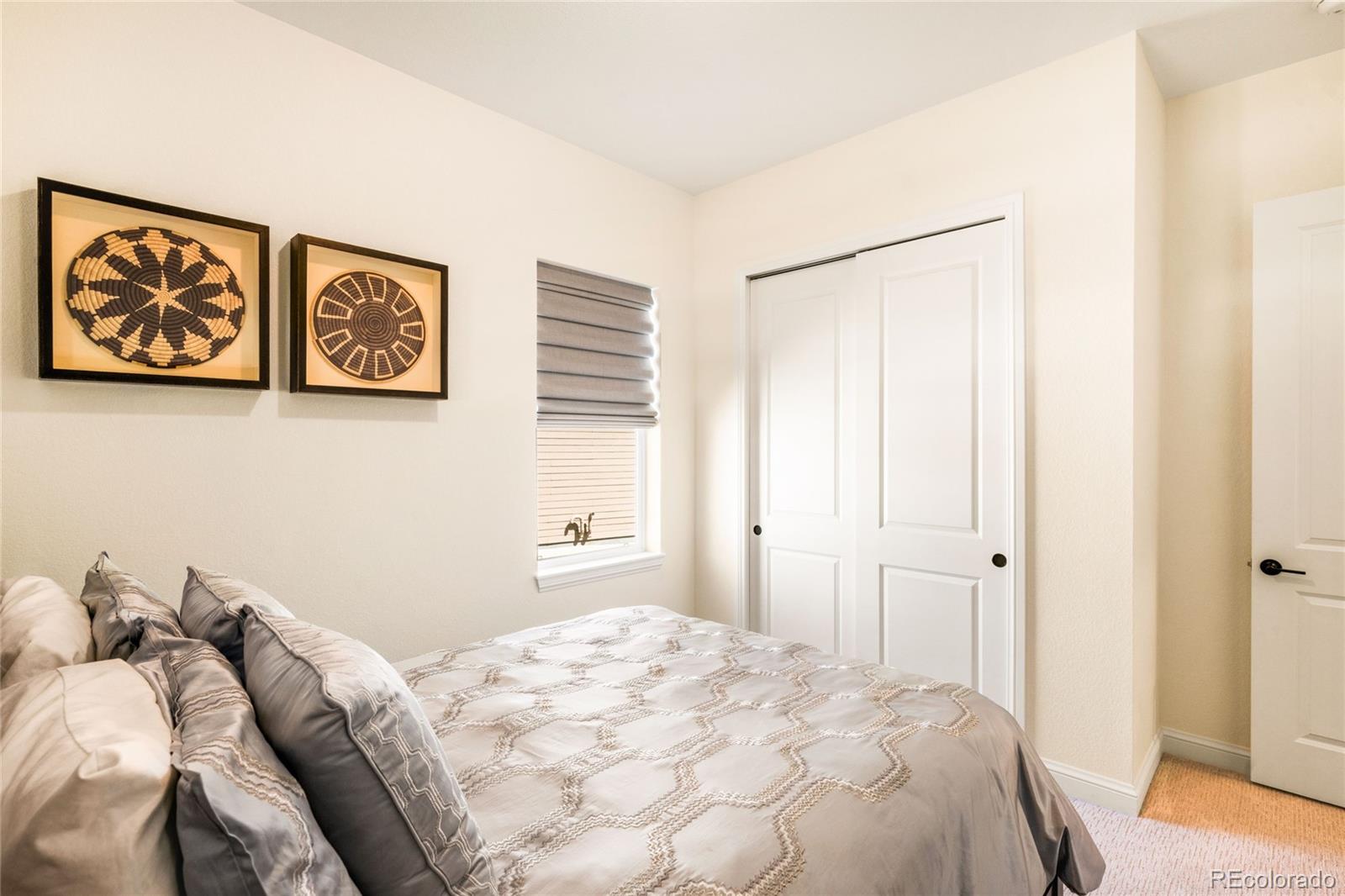 MLS Image #27 for 3153  carabiner street,castle rock, Colorado