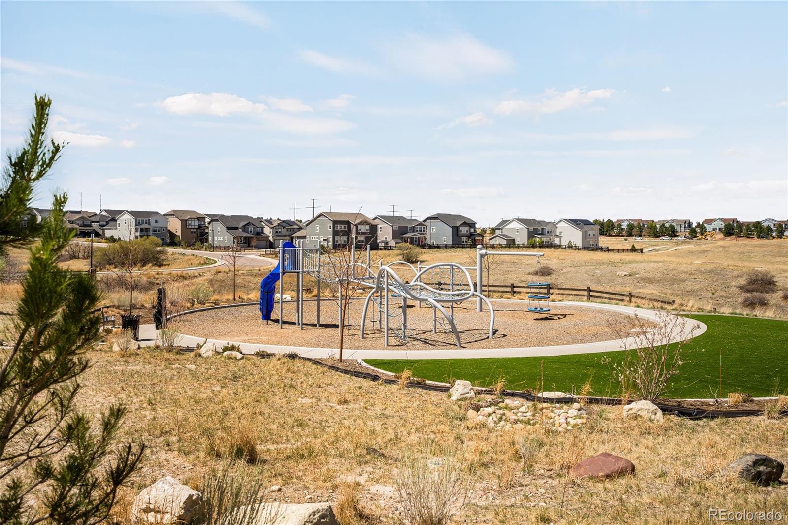 MLS Image #48 for 3153  carabiner street,castle rock, Colorado