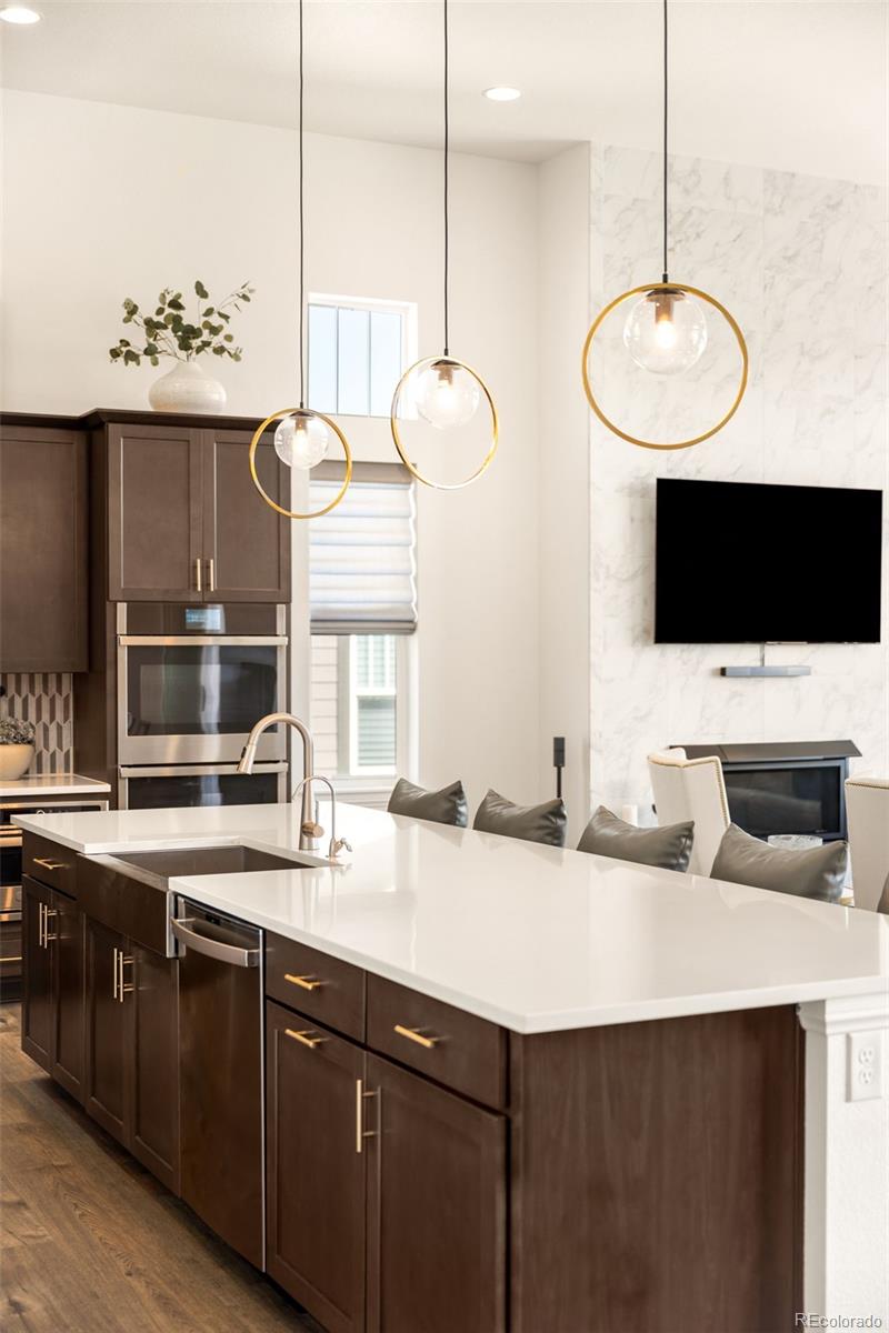MLS Image #8 for 3153  carabiner street,castle rock, Colorado