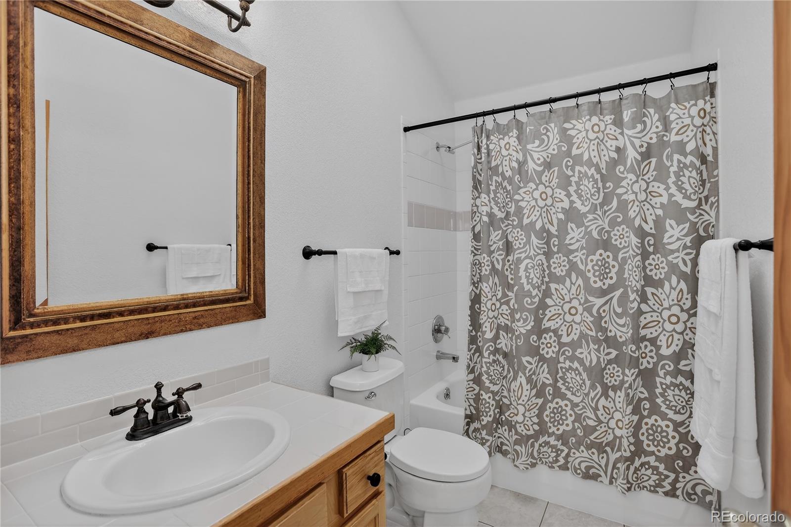 MLS Image #10 for 261  mount bailey drive,bailey, Colorado