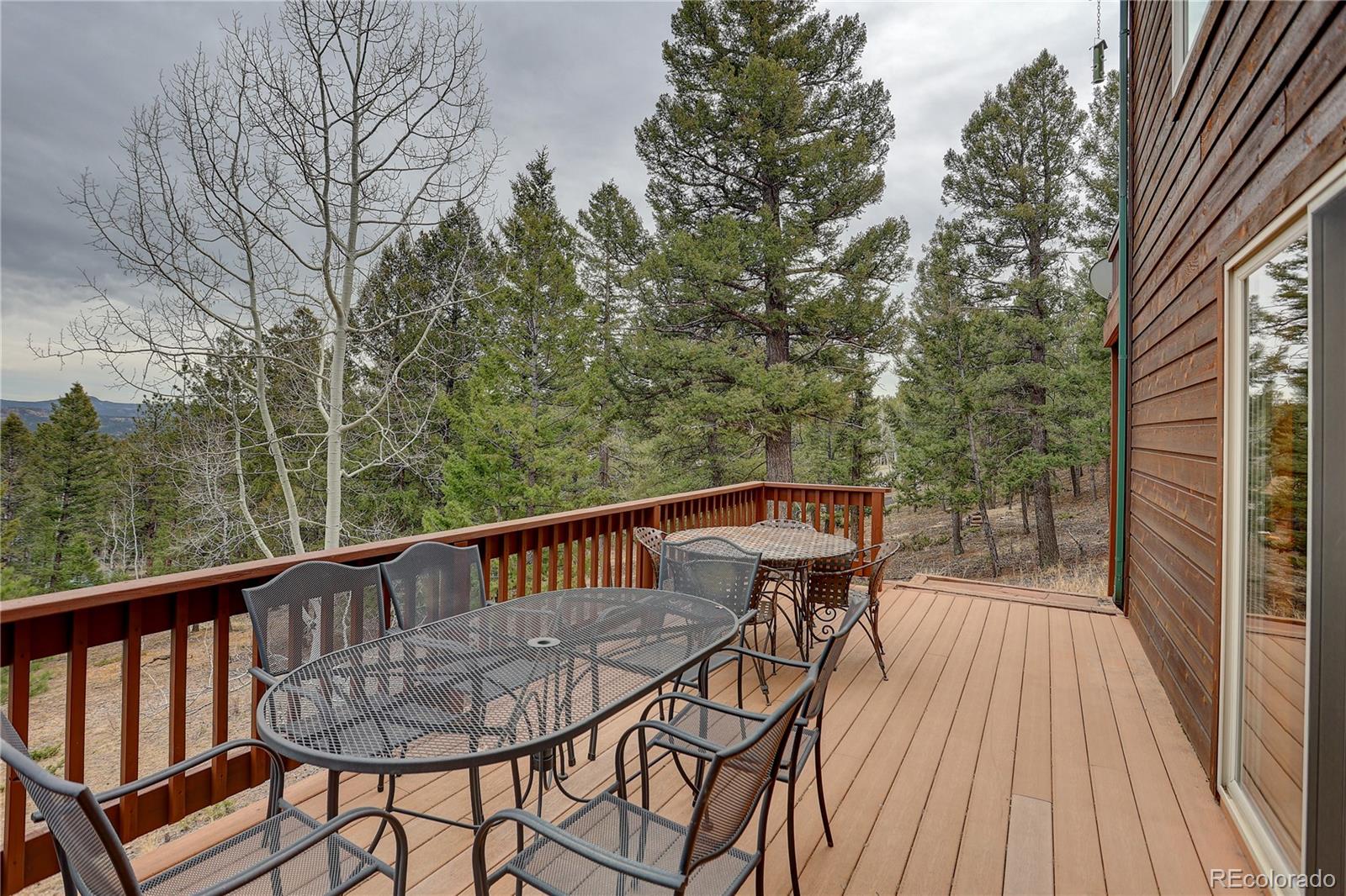 MLS Image #14 for 261  mount bailey drive,bailey, Colorado