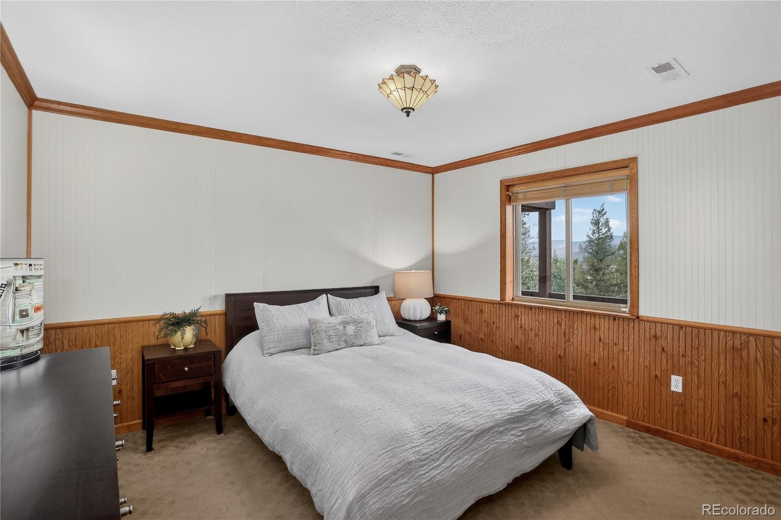 MLS Image #18 for 261  mount bailey drive,bailey, Colorado