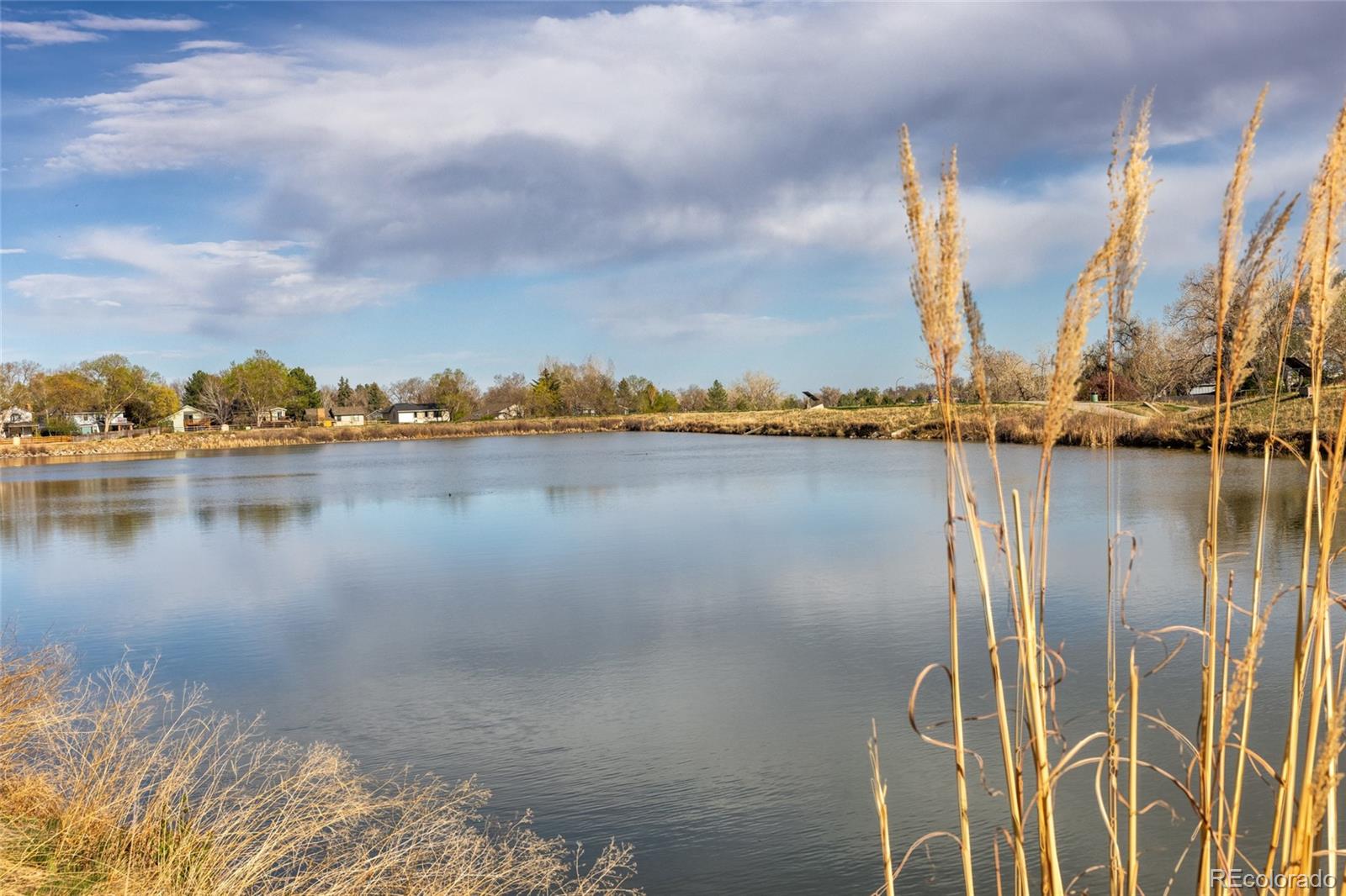 MLS Image #39 for 9152 w 81st lane,arvada, Colorado