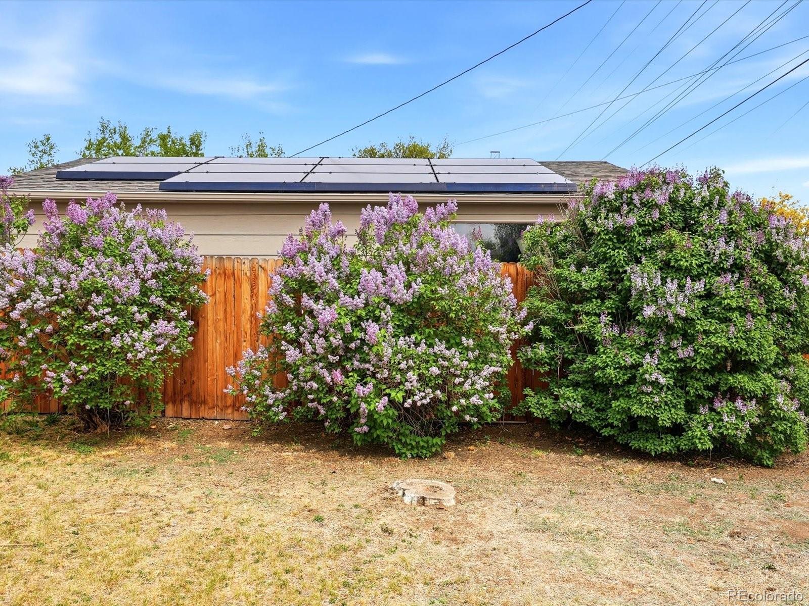 MLS Image #41 for 344  gray street,lakewood, Colorado