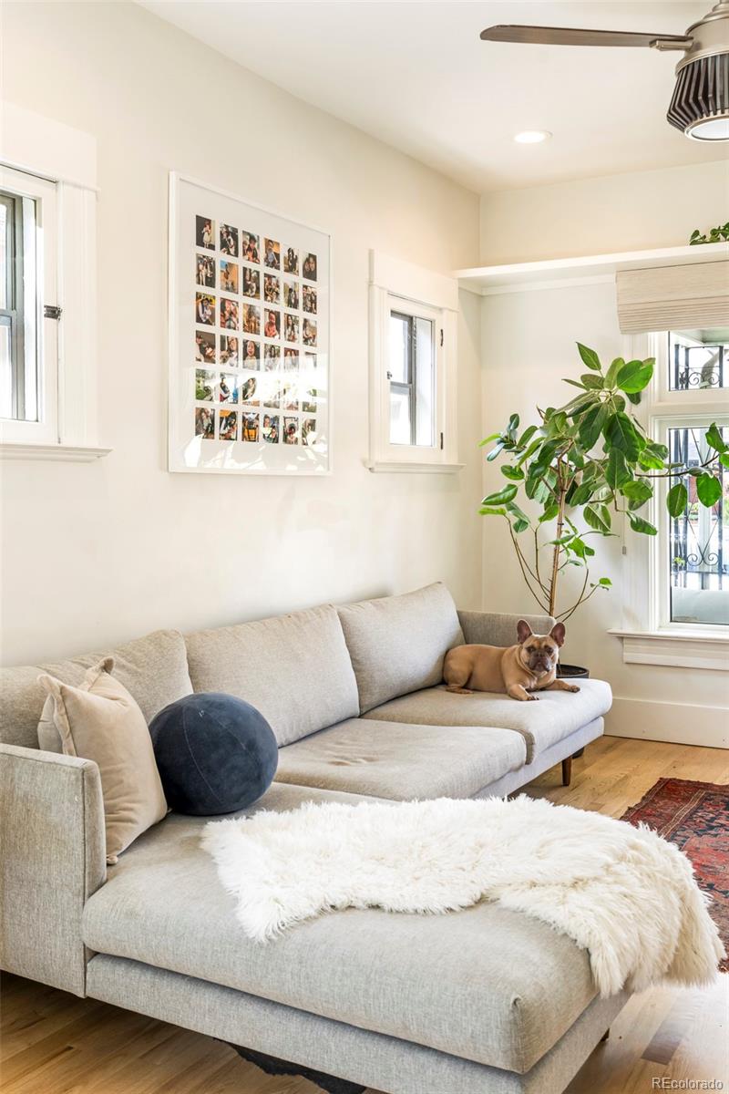 MLS Image #3 for 1450 s grant street,denver, Colorado