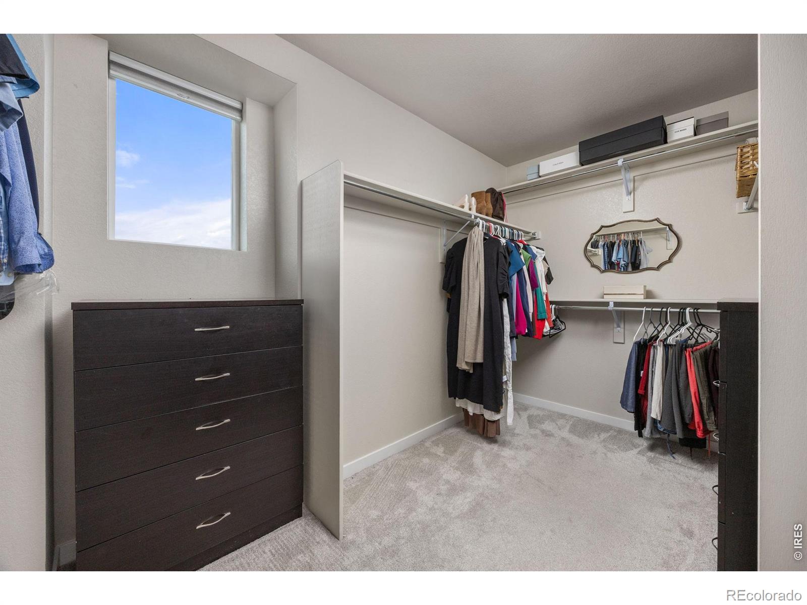 MLS Image #21 for 8814  el diente street,arvada, Colorado