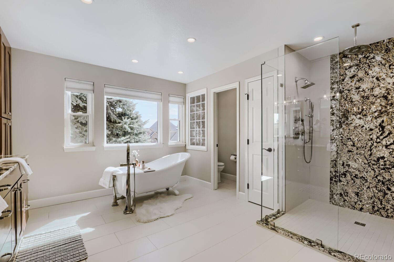 MLS Image #15 for 7931  noble court,arvada, Colorado