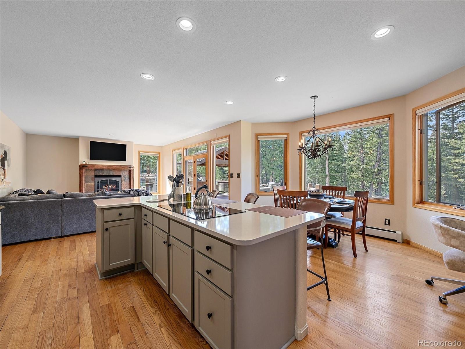MLS Image #14 for 1434  belford court,evergreen, Colorado