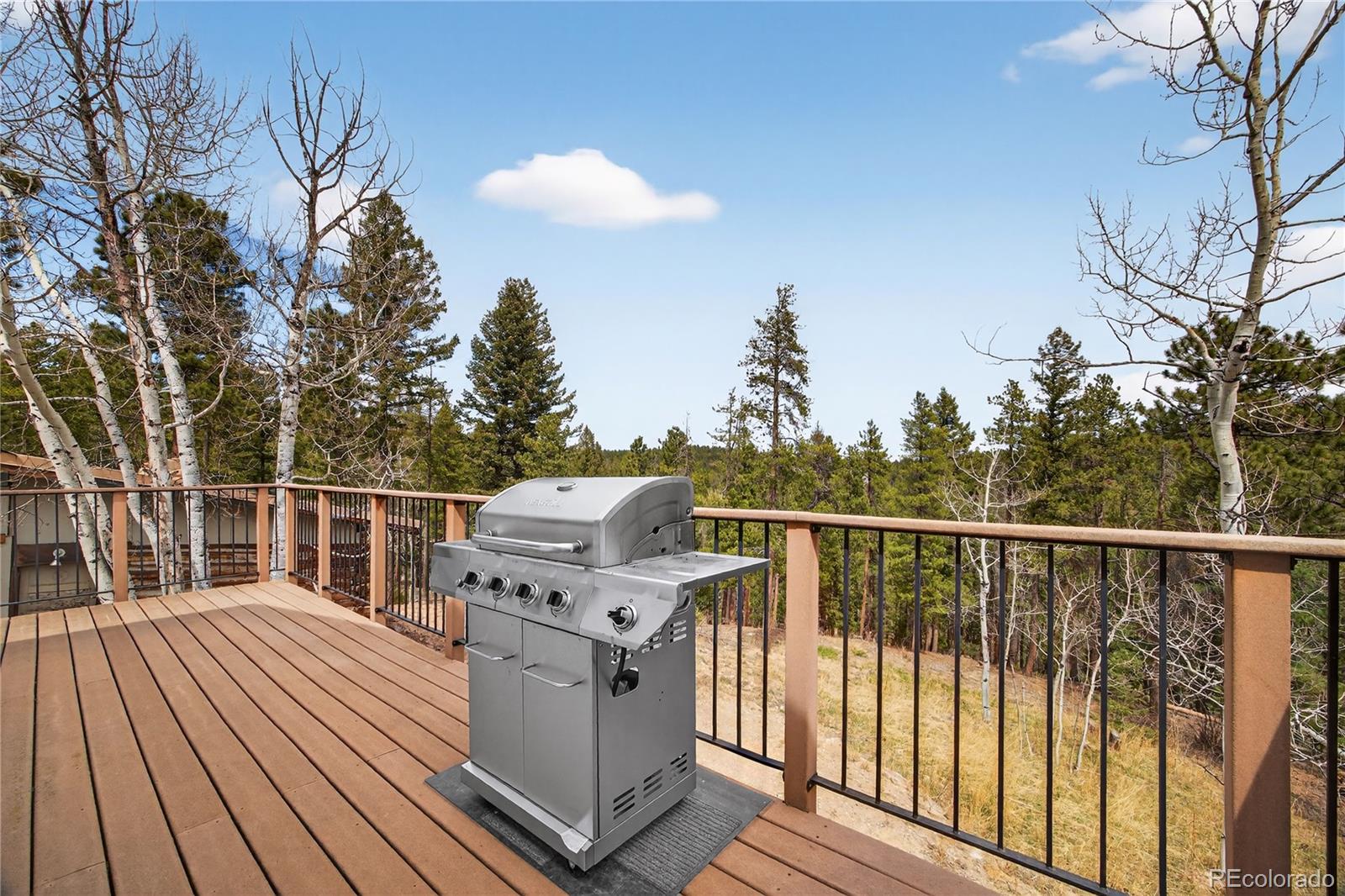 MLS Image #30 for 11987 w ranch elsie road,golden, Colorado
