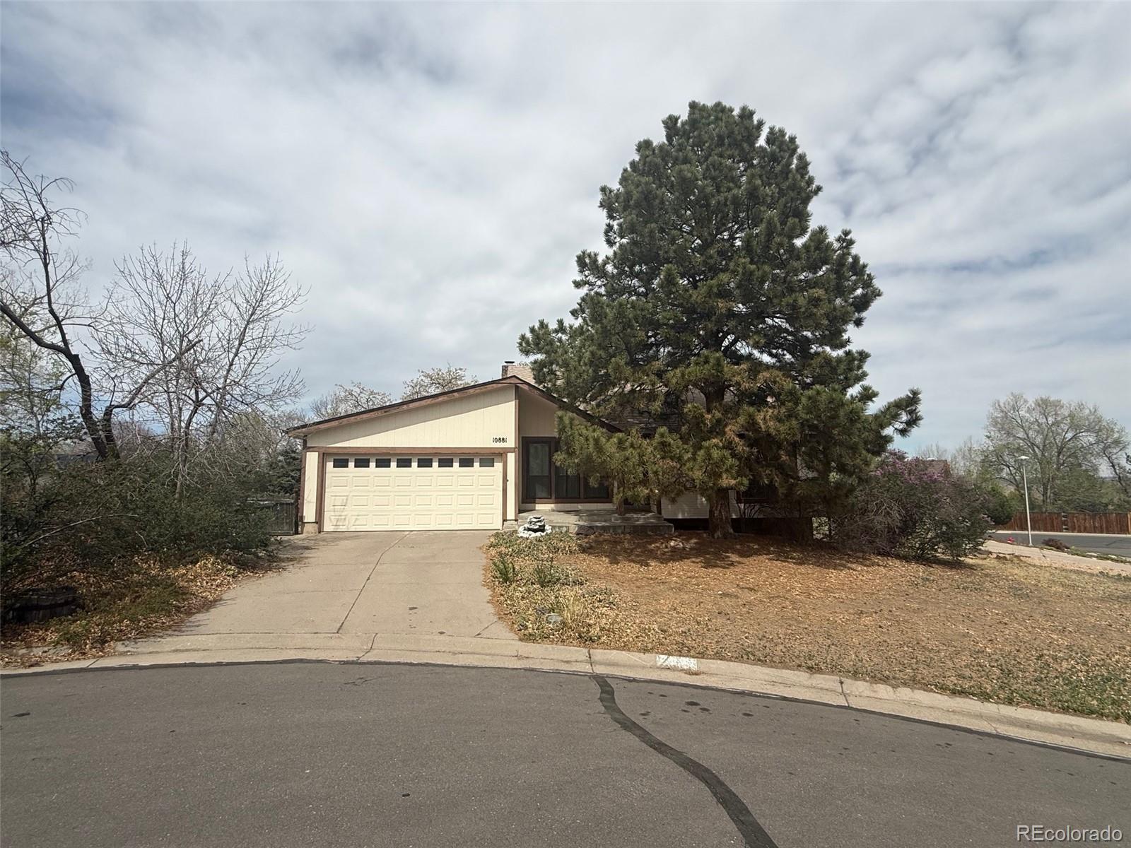 MLS Image #4 for 10881  utica street,westminster, Colorado