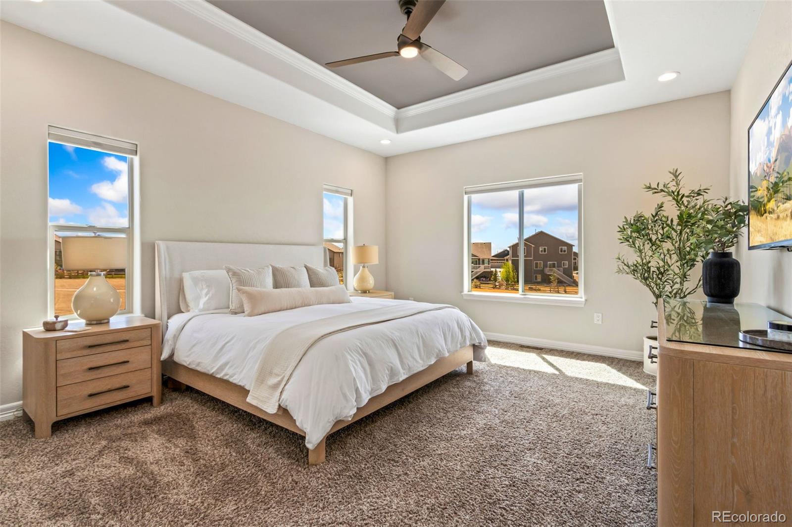 MLS Image #21 for 5531  teeling court,timnath, Colorado