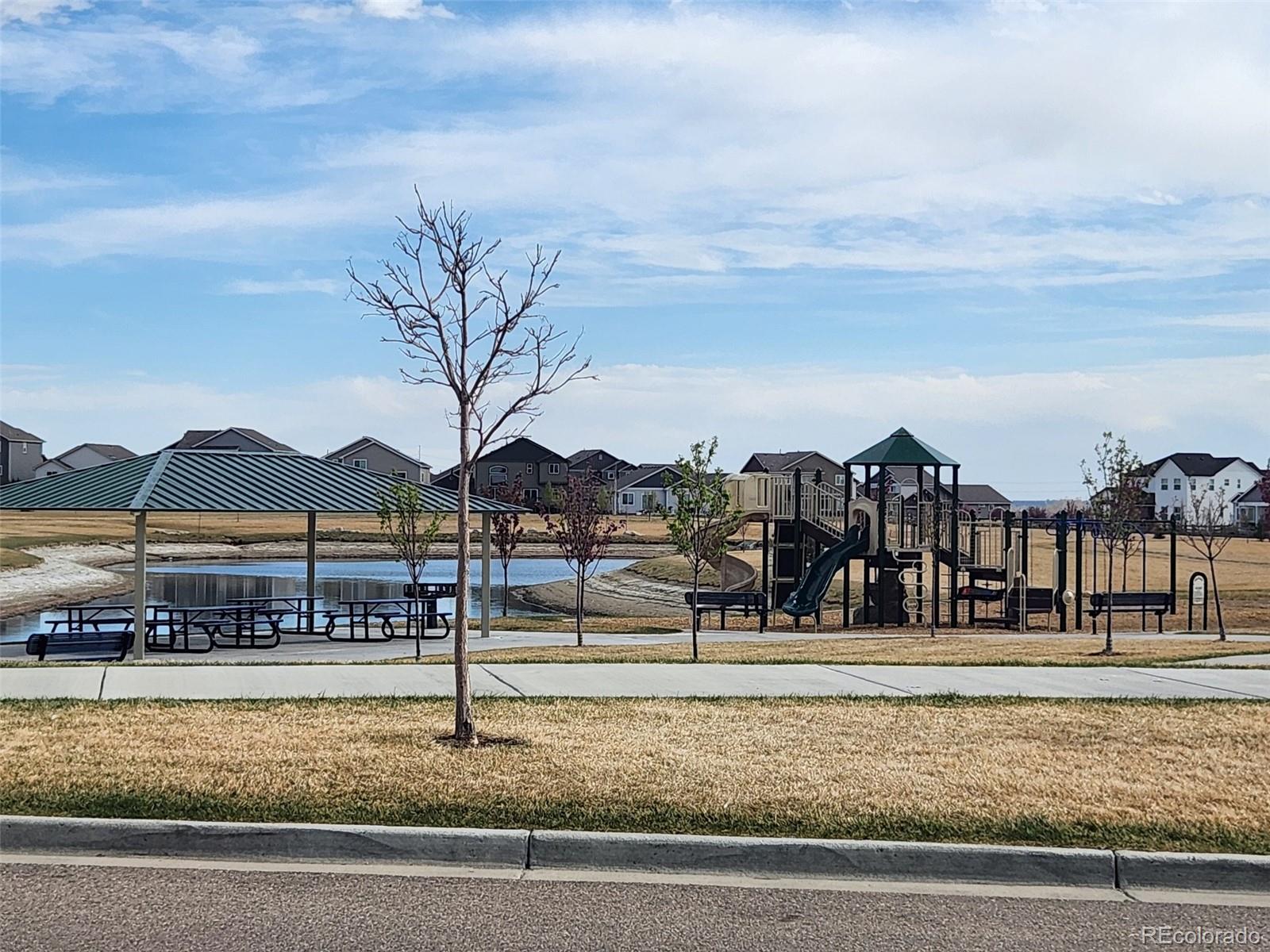 MLS Image #38 for 5531  teeling court,timnath, Colorado