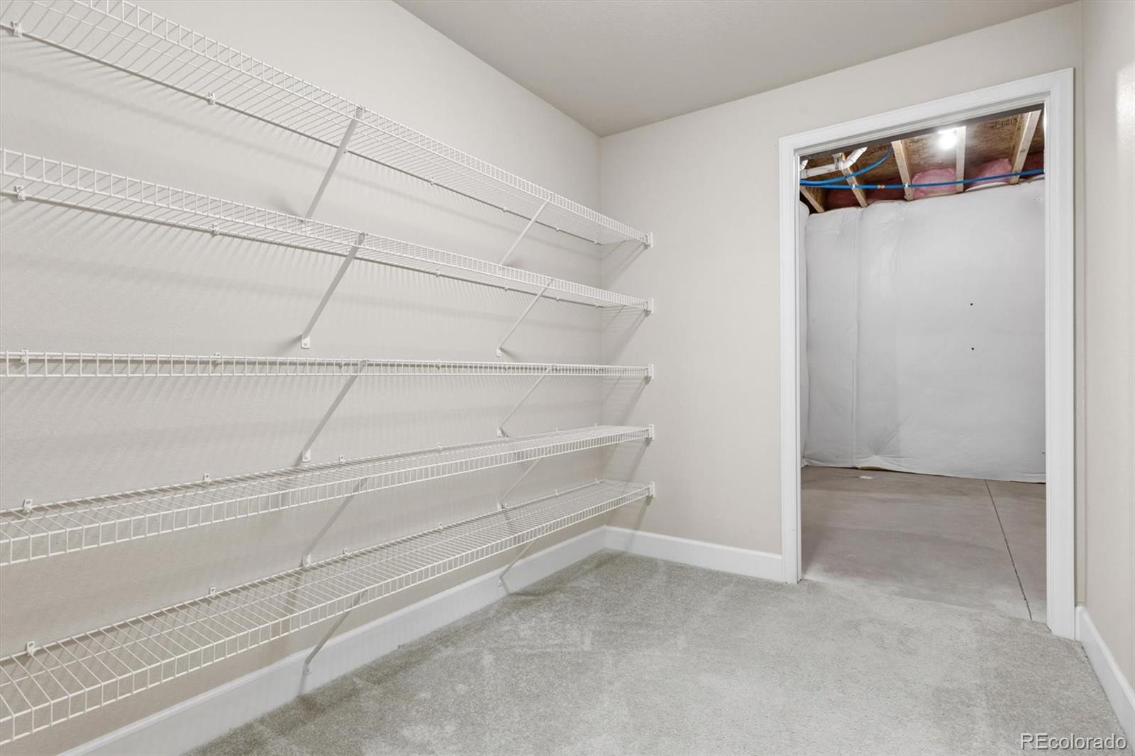 MLS Image #35 for 3525  new haven circle,castle rock, Colorado