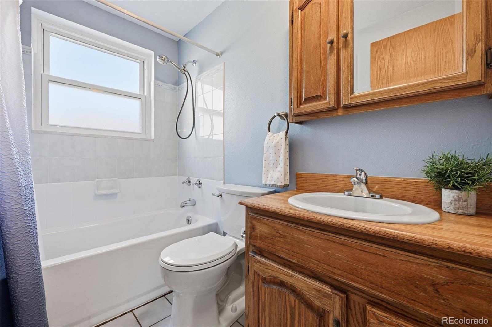 MLS Image #13 for 4203  friar lane,colorado springs, Colorado