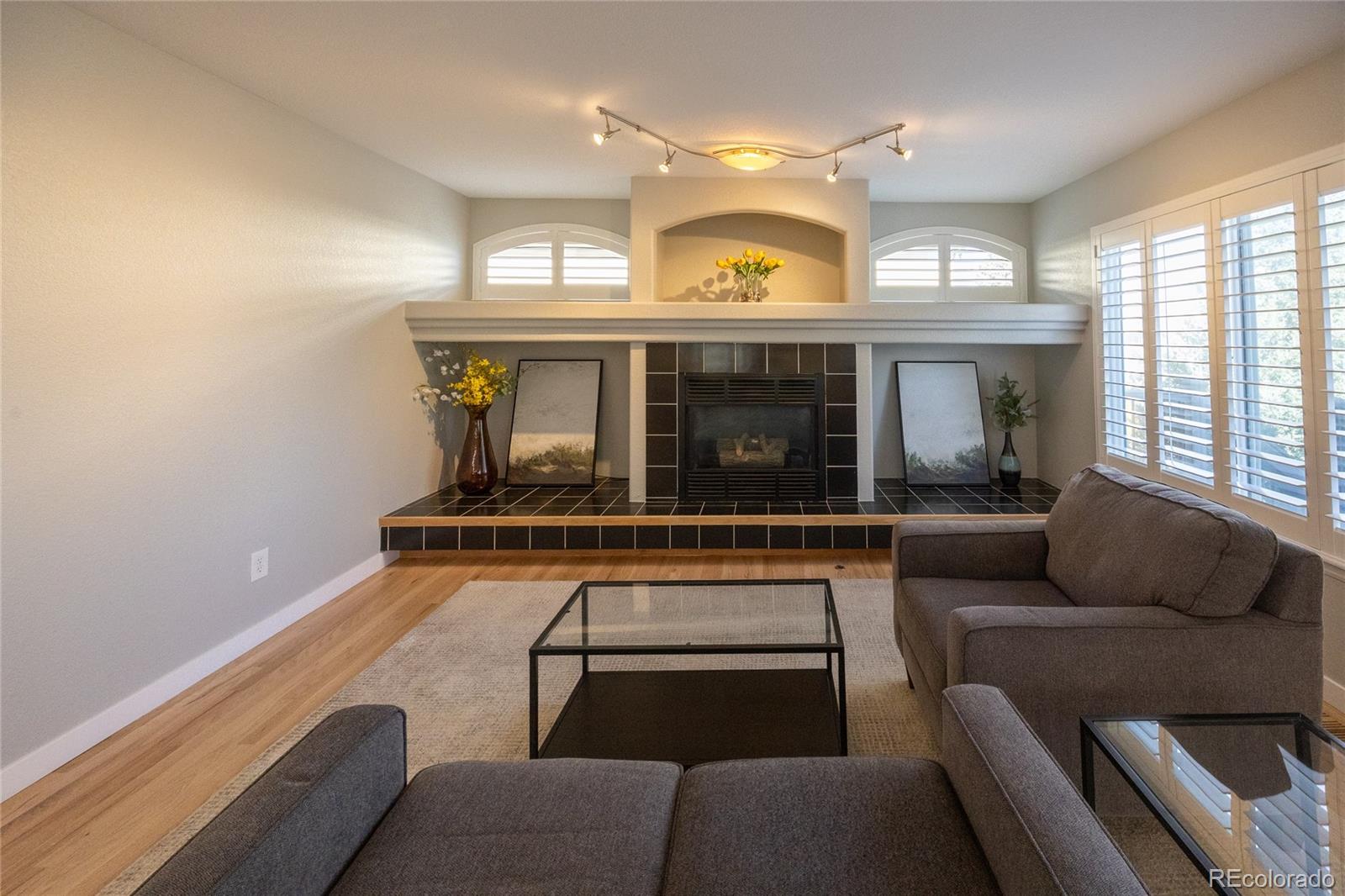 MLS Image #20 for 6539  shannon trail,highlands ranch, Colorado