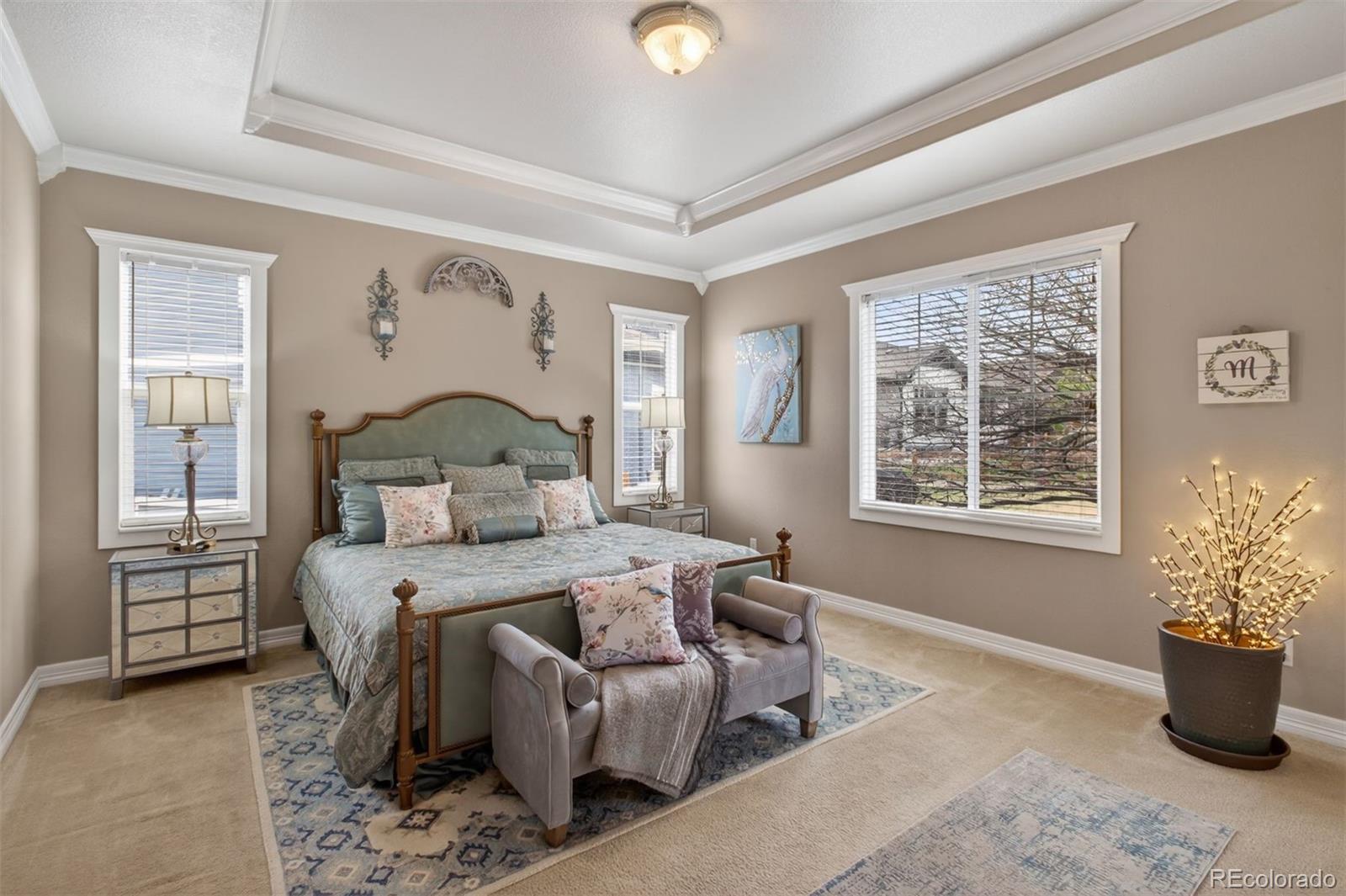 MLS Image #15 for 5250  gould circle,castle rock, Colorado