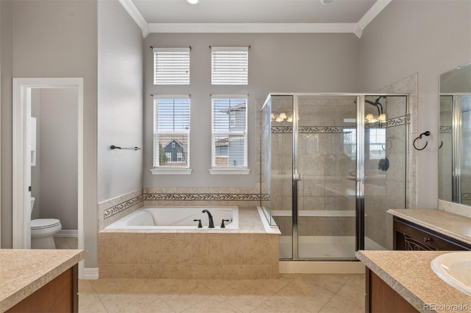 MLS Image #17 for 5250  gould circle,castle rock, Colorado