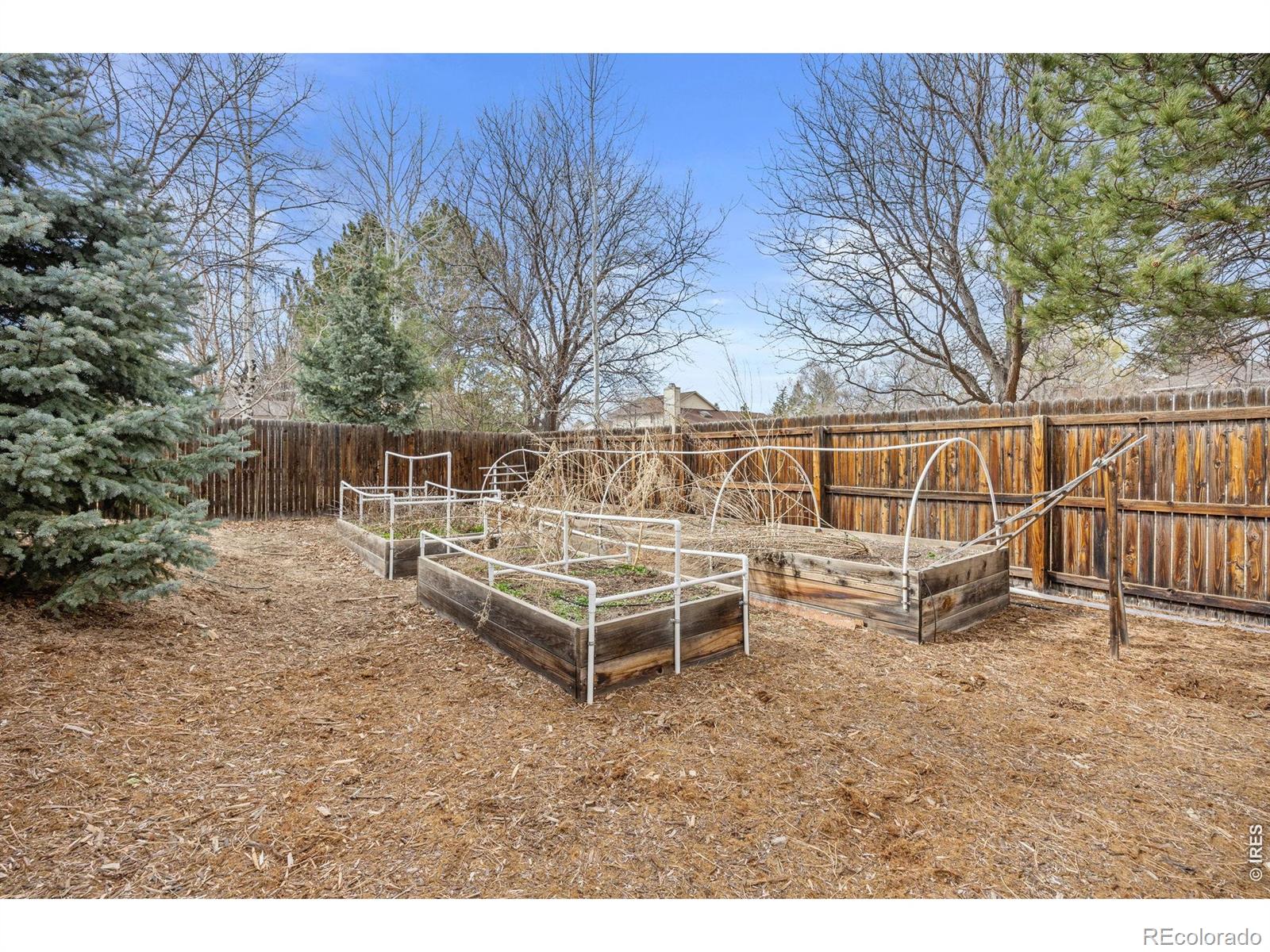 MLS Image #38 for 2608  pheasant drive,longmont, Colorado