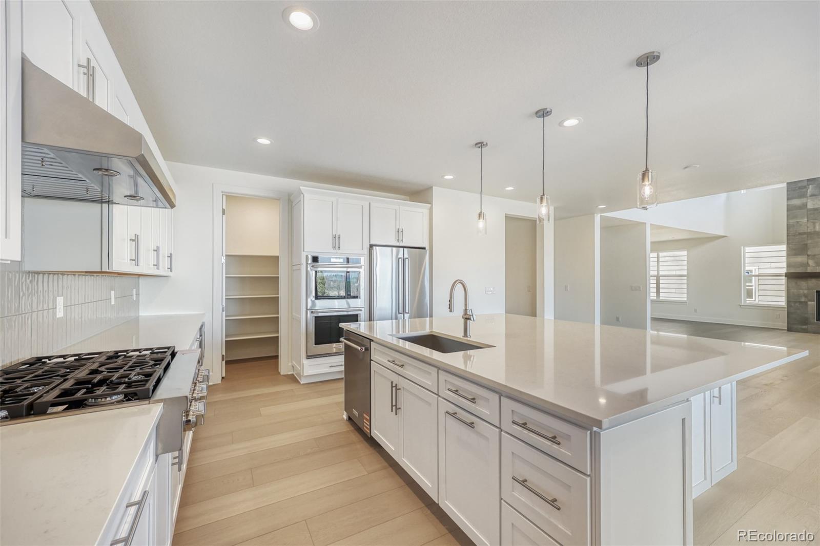 MLS Image #3 for 49  welded tuff trail,castle rock, Colorado