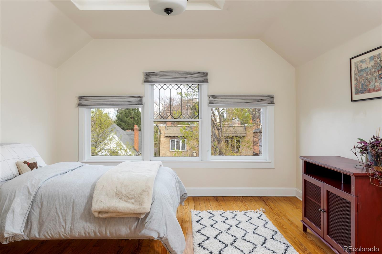 MLS Image #33 for 1311 n lafayette street,denver, Colorado