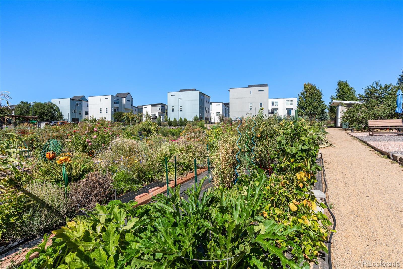 MLS Image #42 for 1734 w 66th avenue,denver, Colorado