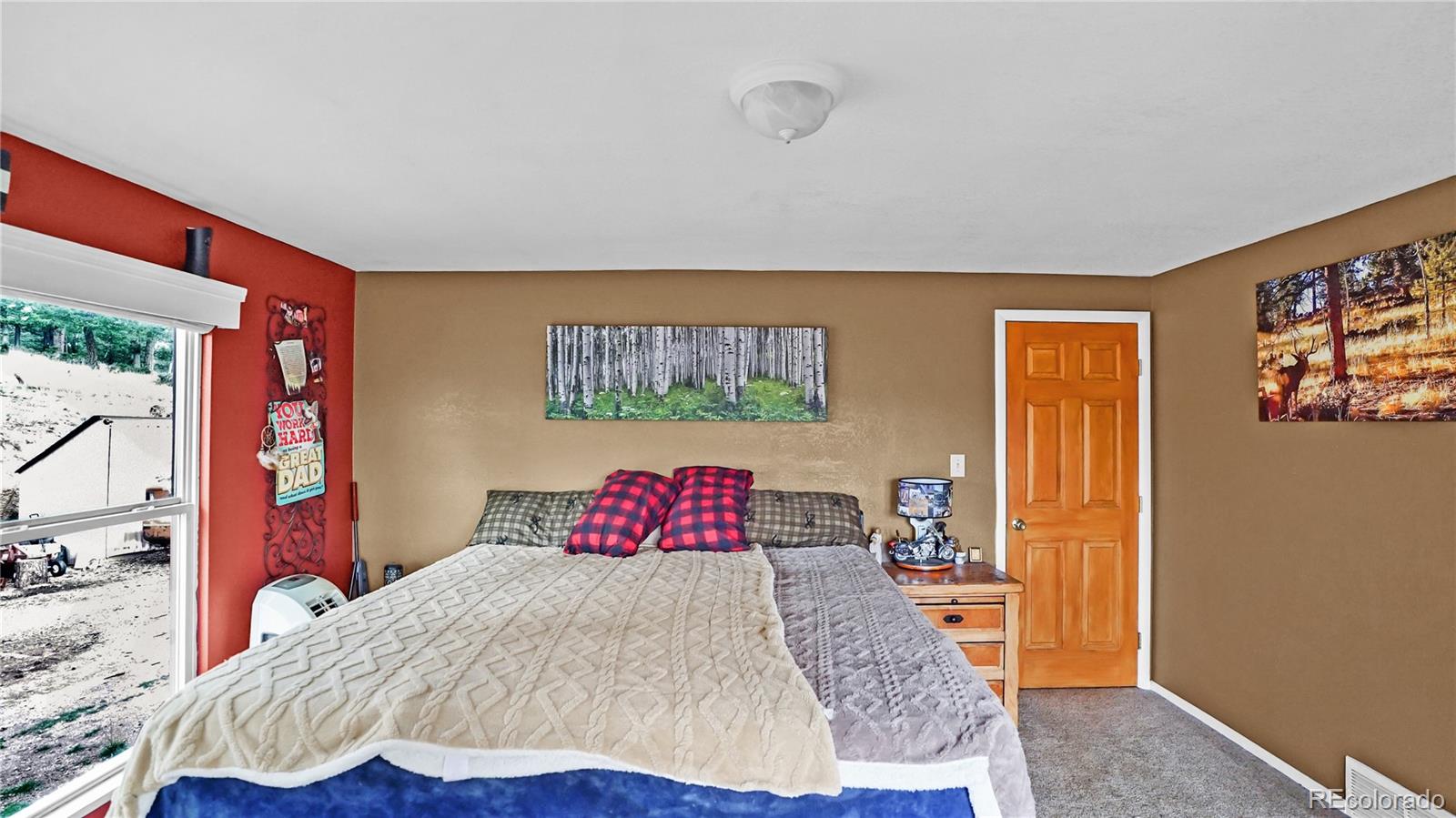 MLS Image #12 for 67  holdup street,bailey, Colorado
