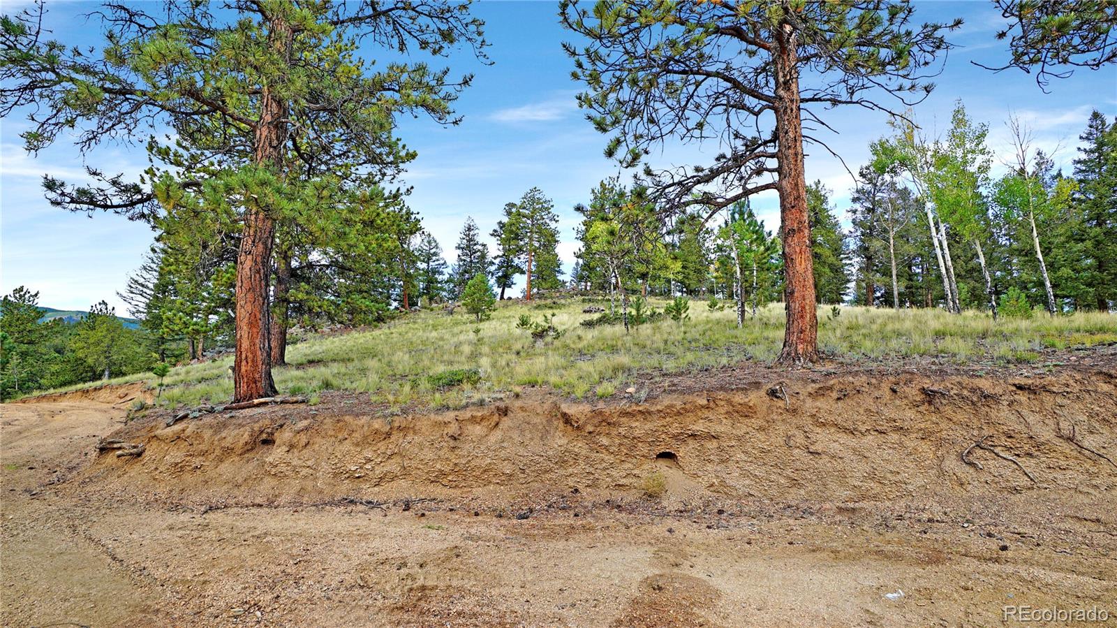 MLS Image #20 for 67  holdup street,bailey, Colorado