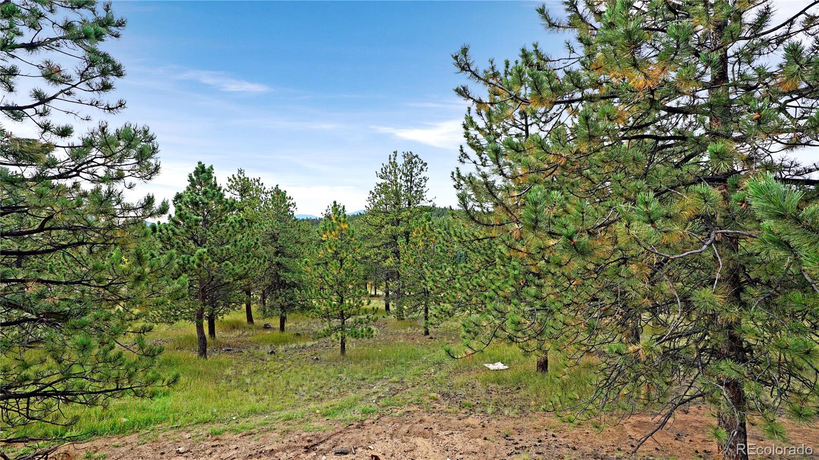 MLS Image #26 for 67  holdup street,bailey, Colorado