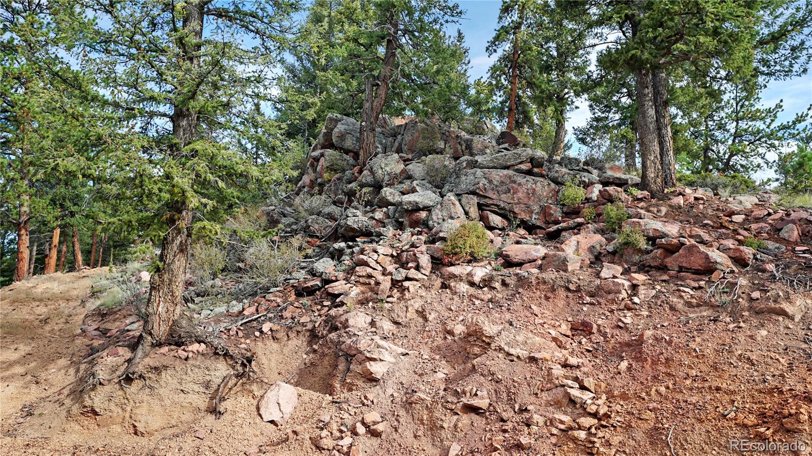 MLS Image #27 for 67  holdup street,bailey, Colorado