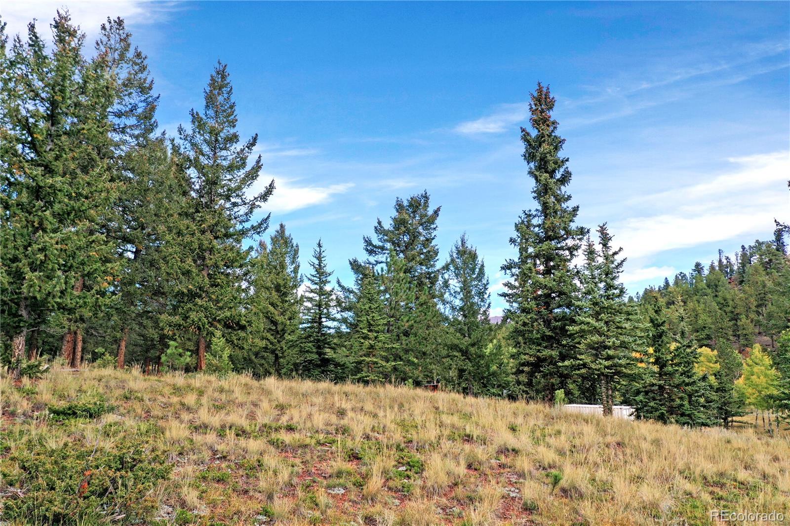 MLS Image #33 for 67  holdup street,bailey, Colorado
