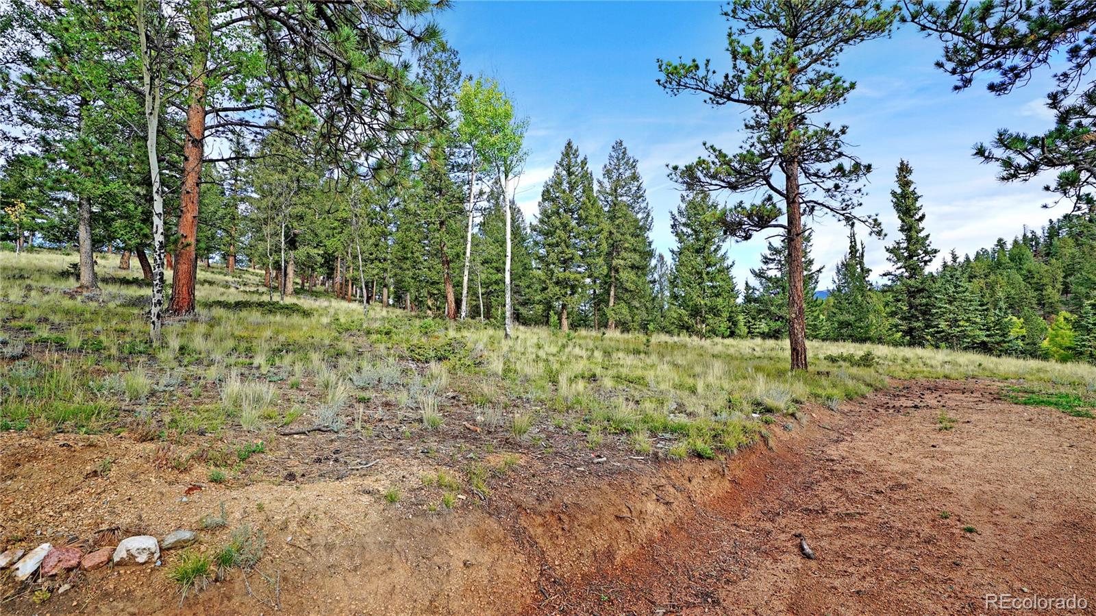 MLS Image #34 for 67  holdup street,bailey, Colorado