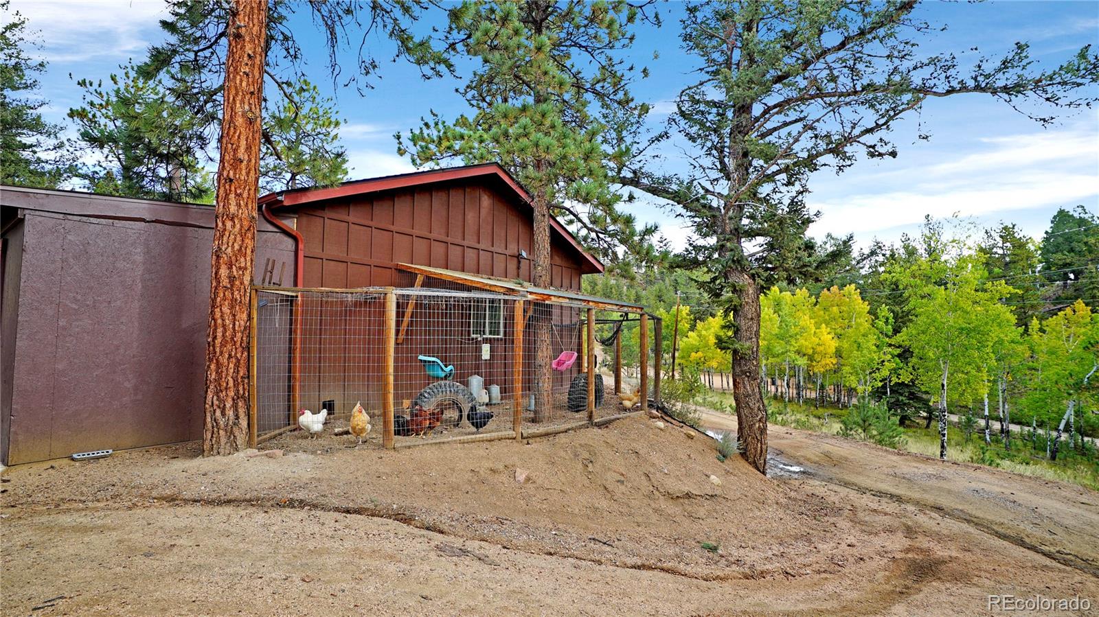 MLS Image #41 for 67  holdup street,bailey, Colorado