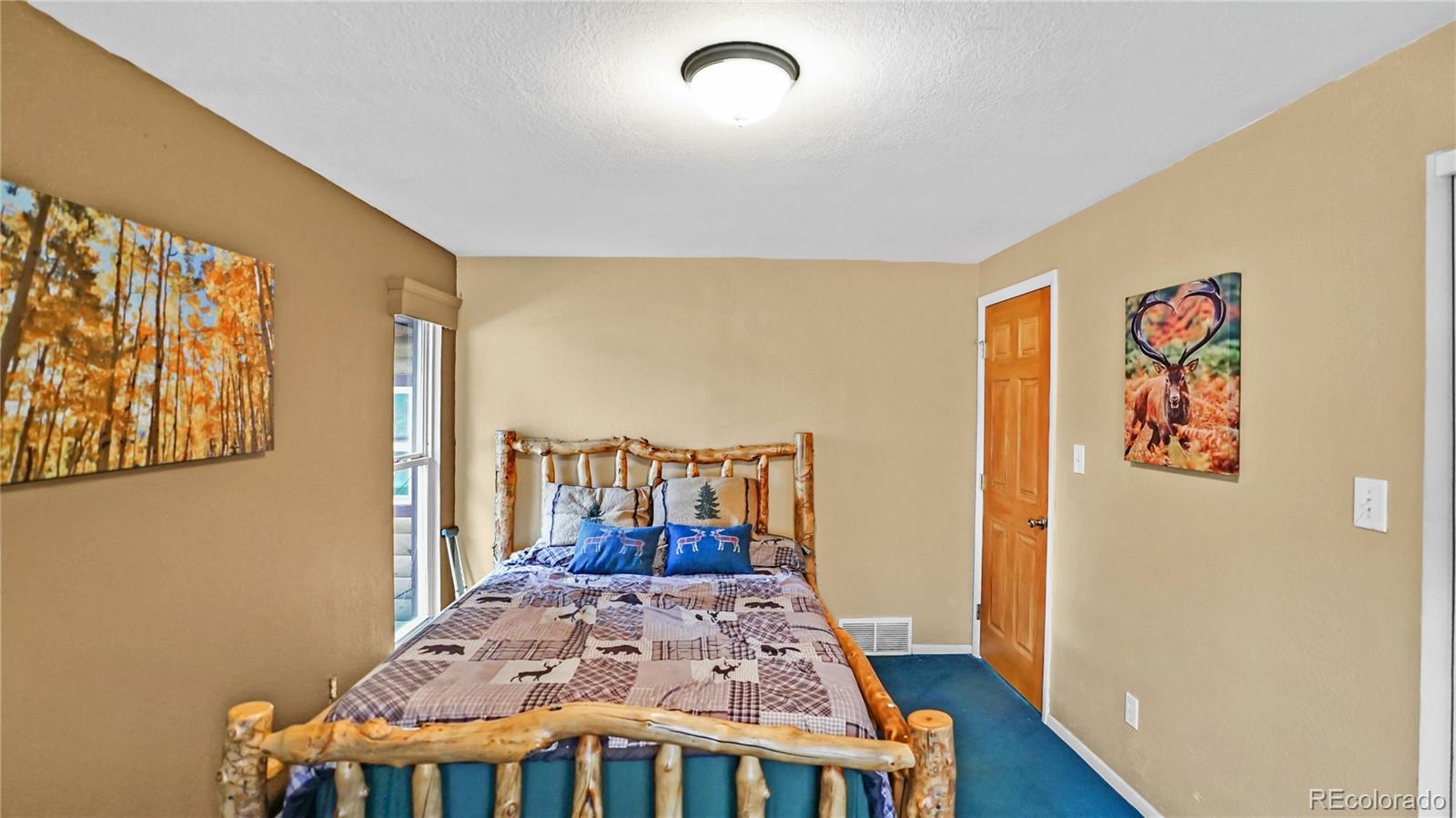 MLS Image #9 for 67  holdup street,bailey, Colorado